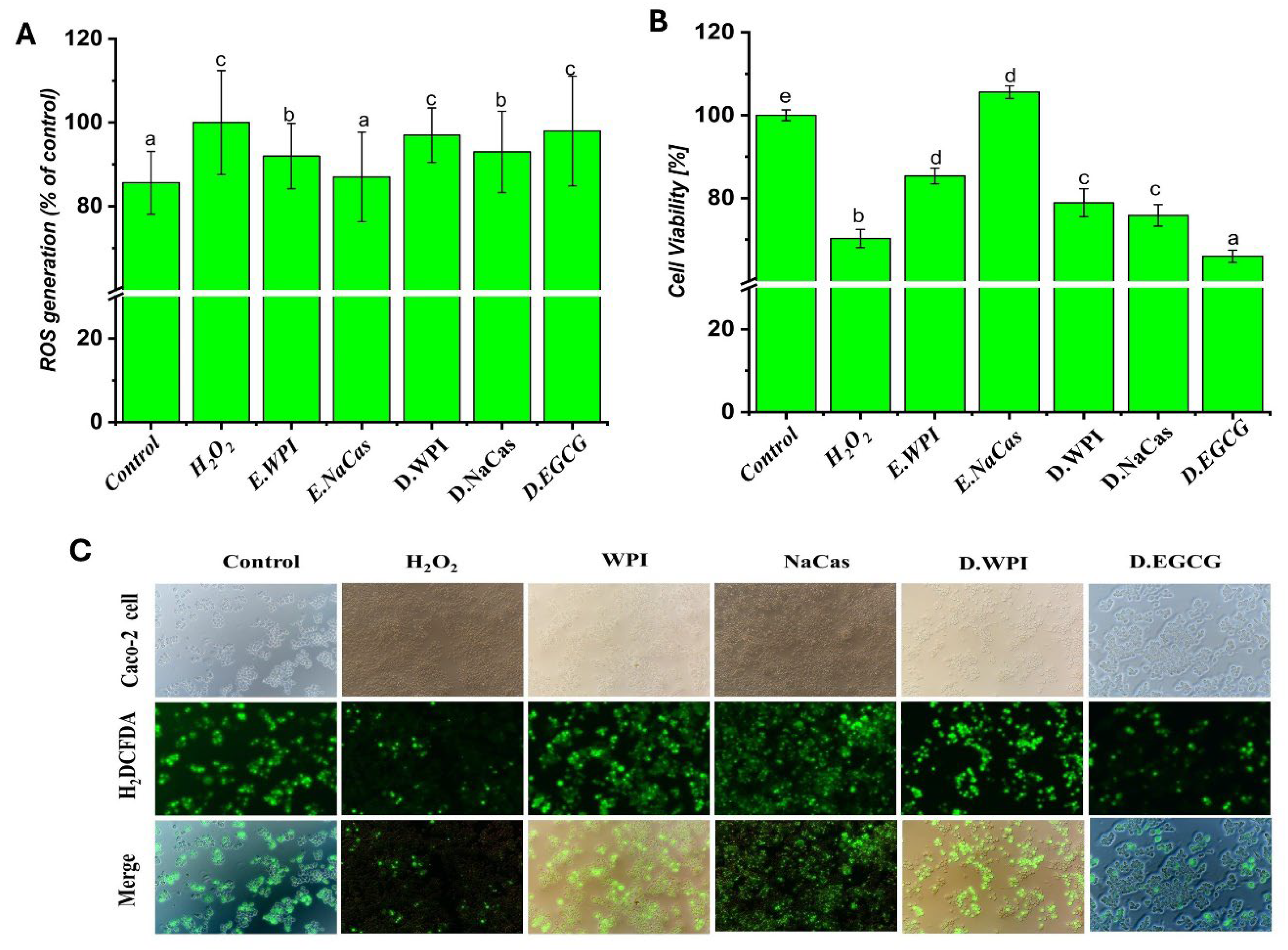 Preprints 107482 g005