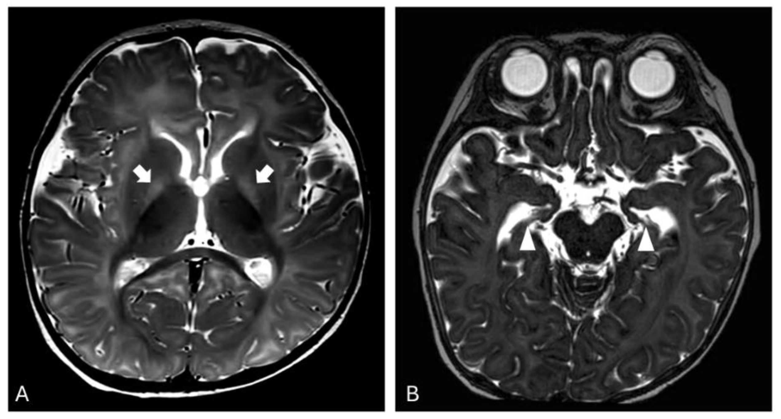 Preprints 156060 g002