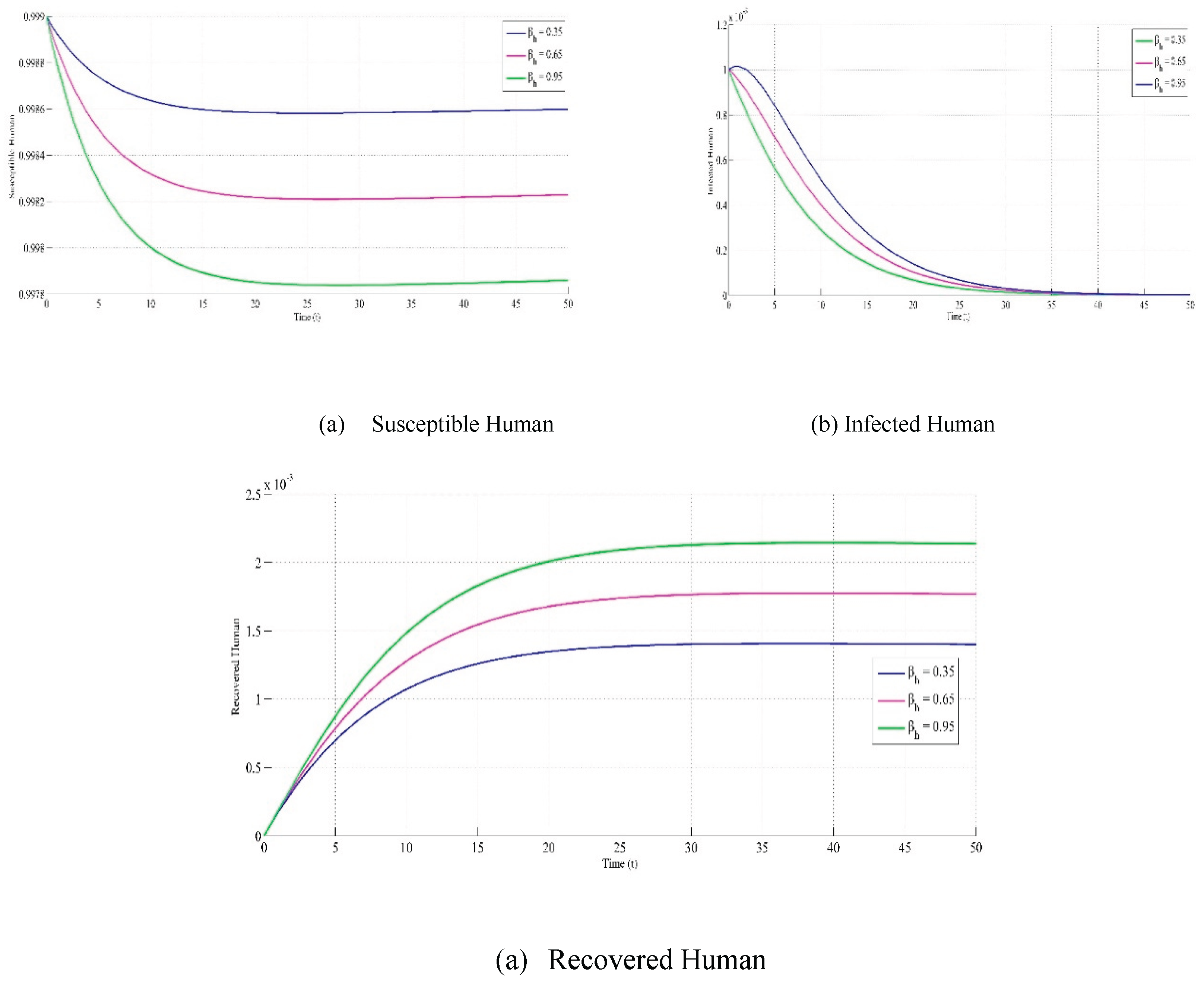 Preprints 219981 g001