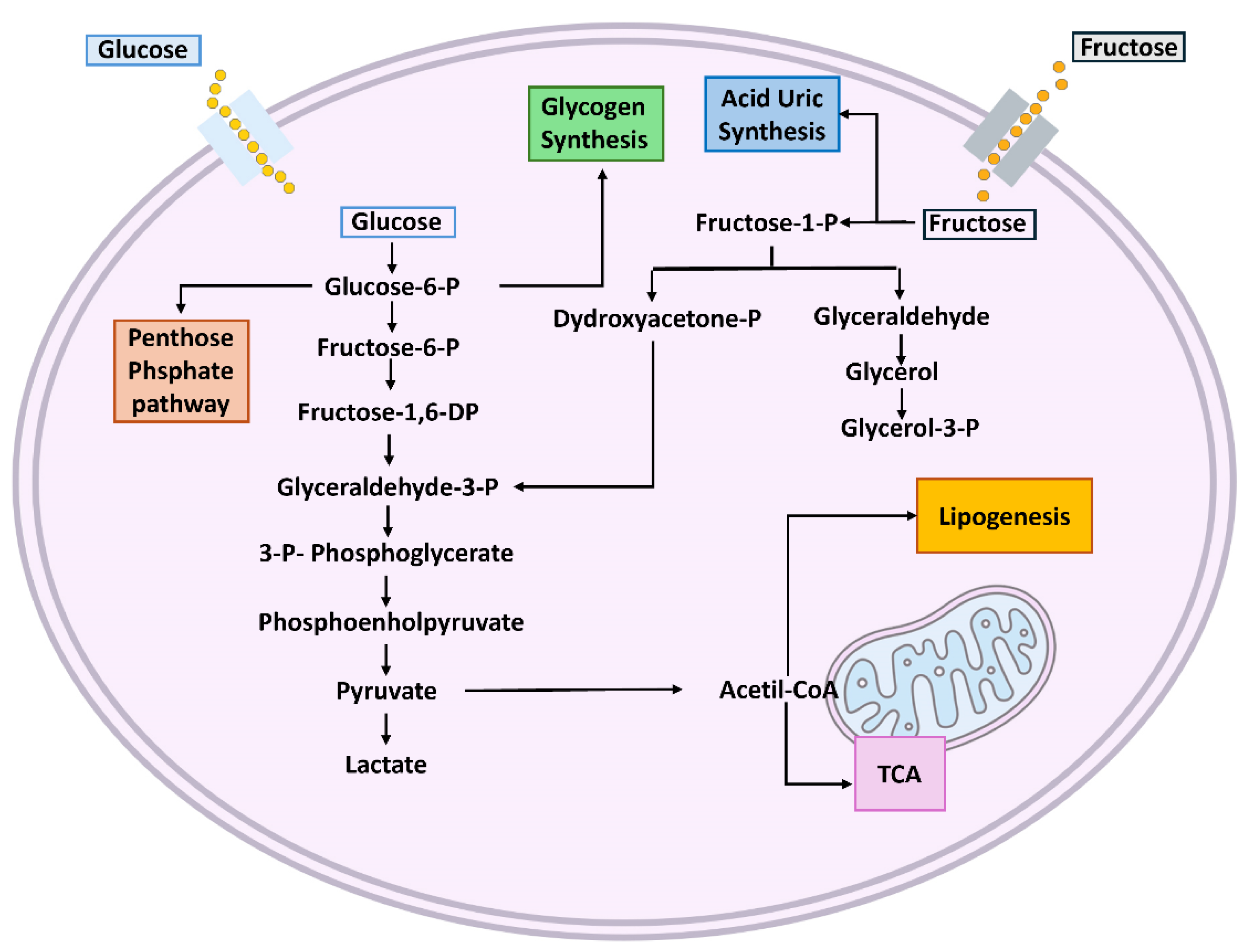 Preprints 156540 g001