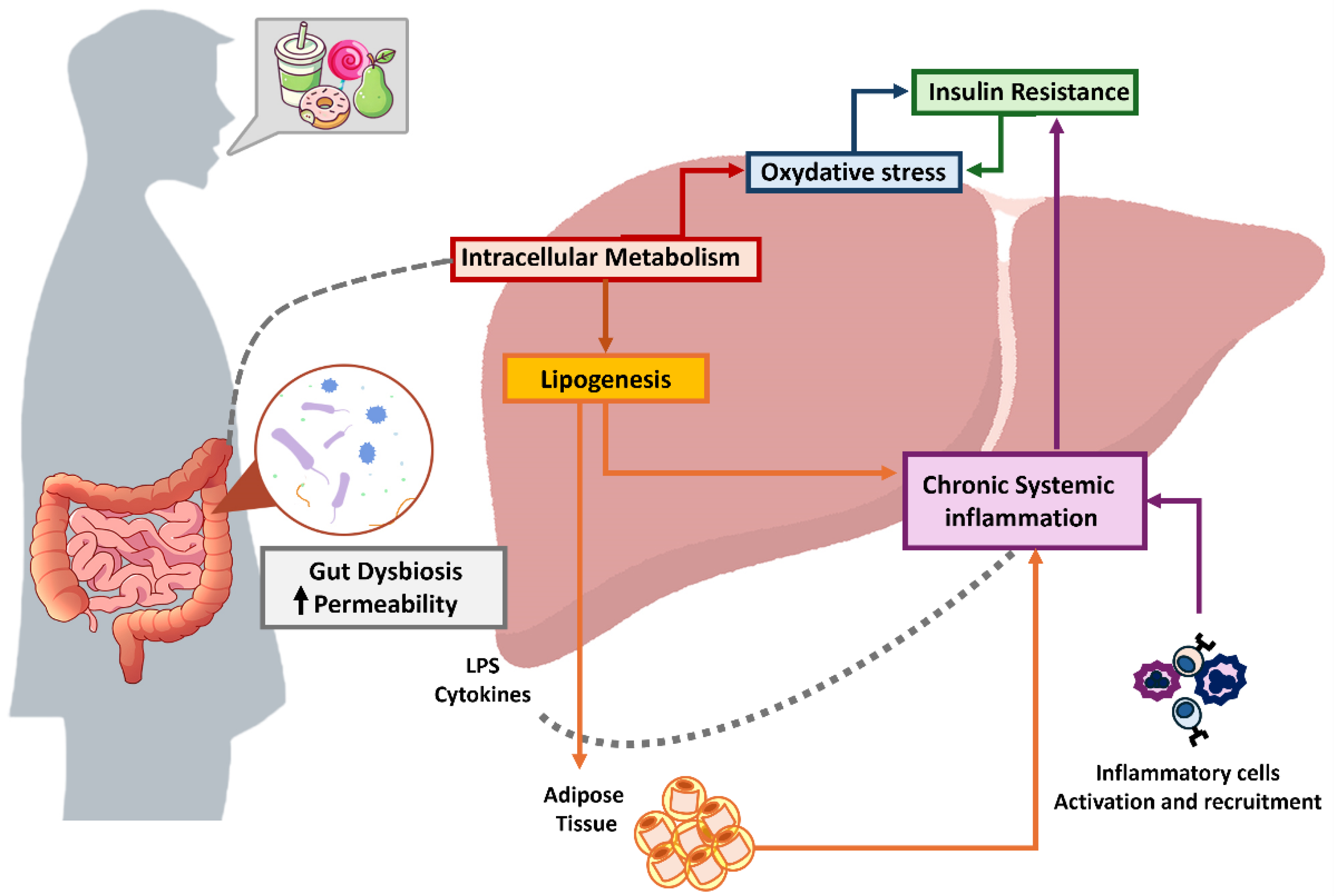 Preprints 156540 g002