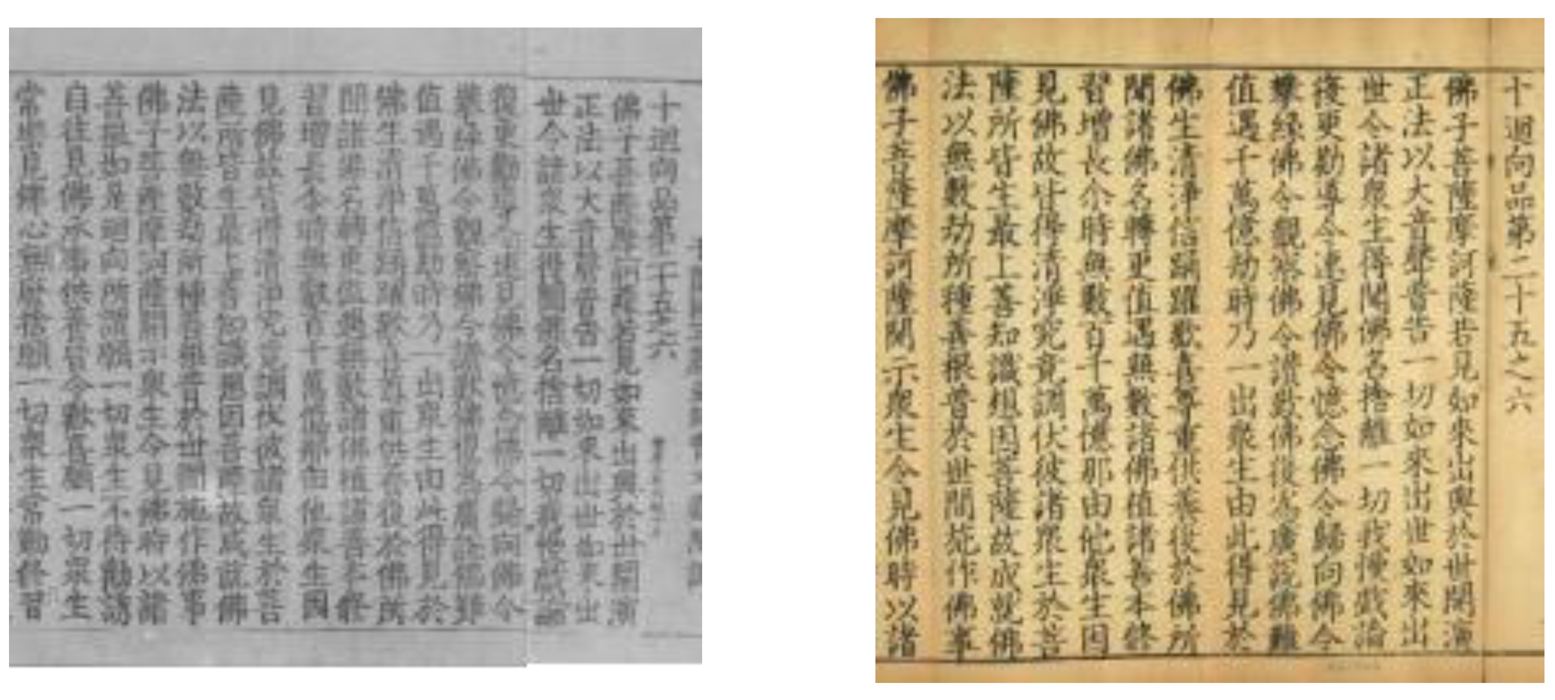 Preprints 151790 g001