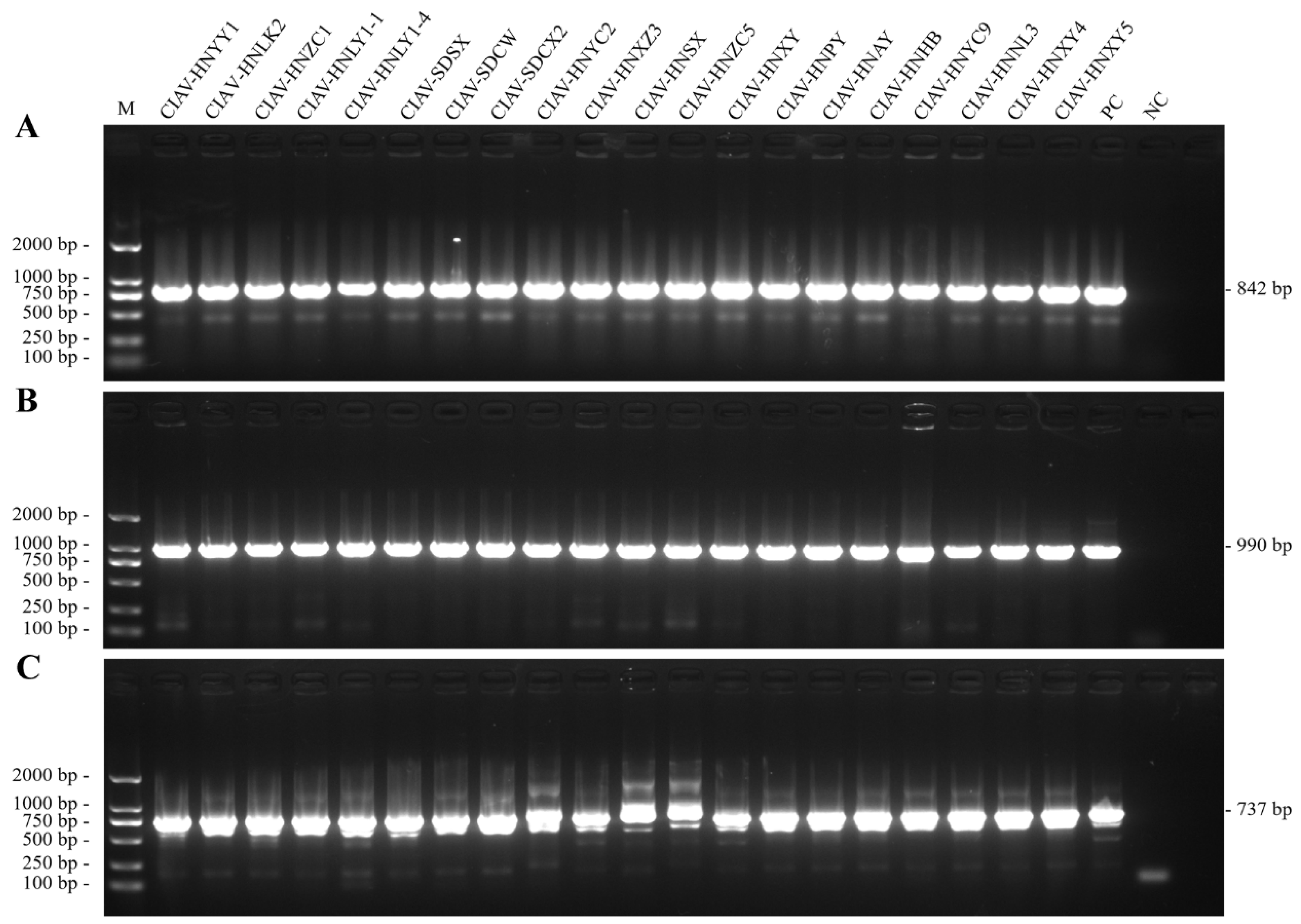 Preprints 190701 g003