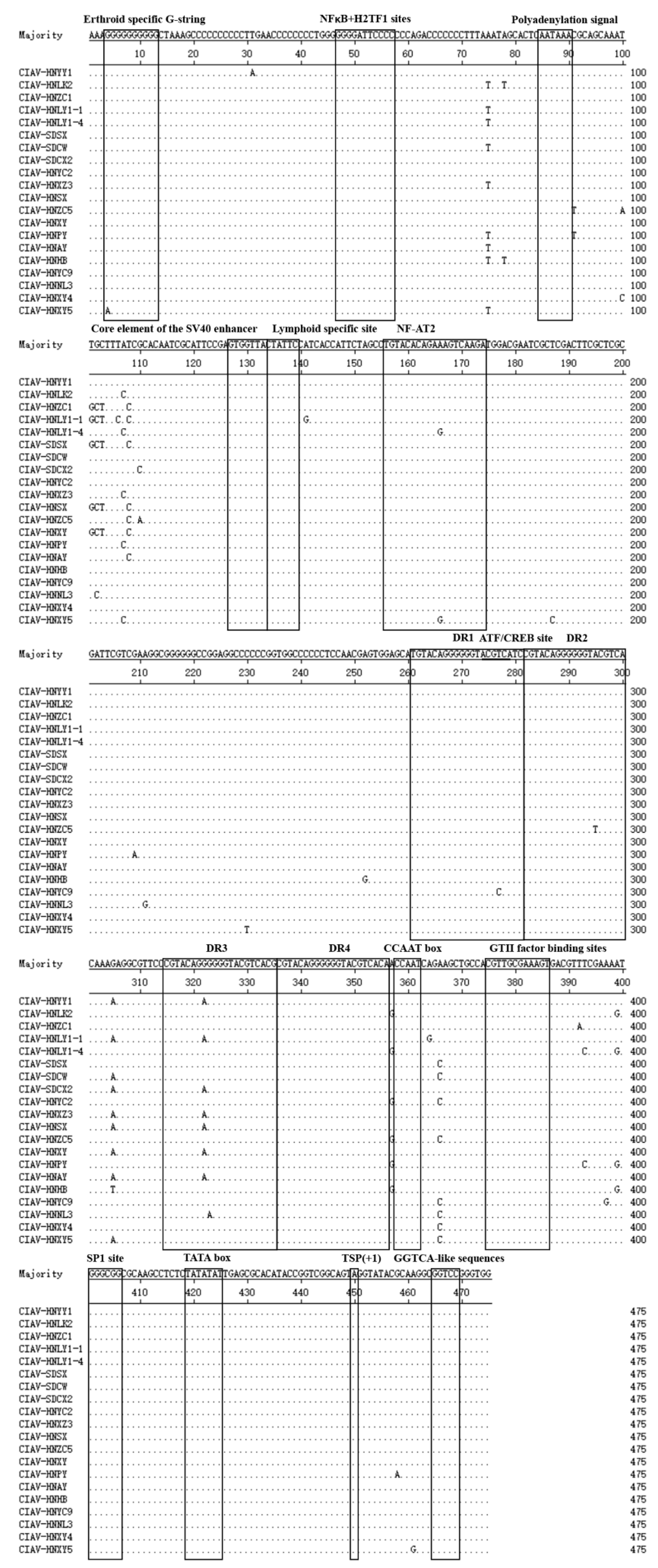 Preprints 190701 g005