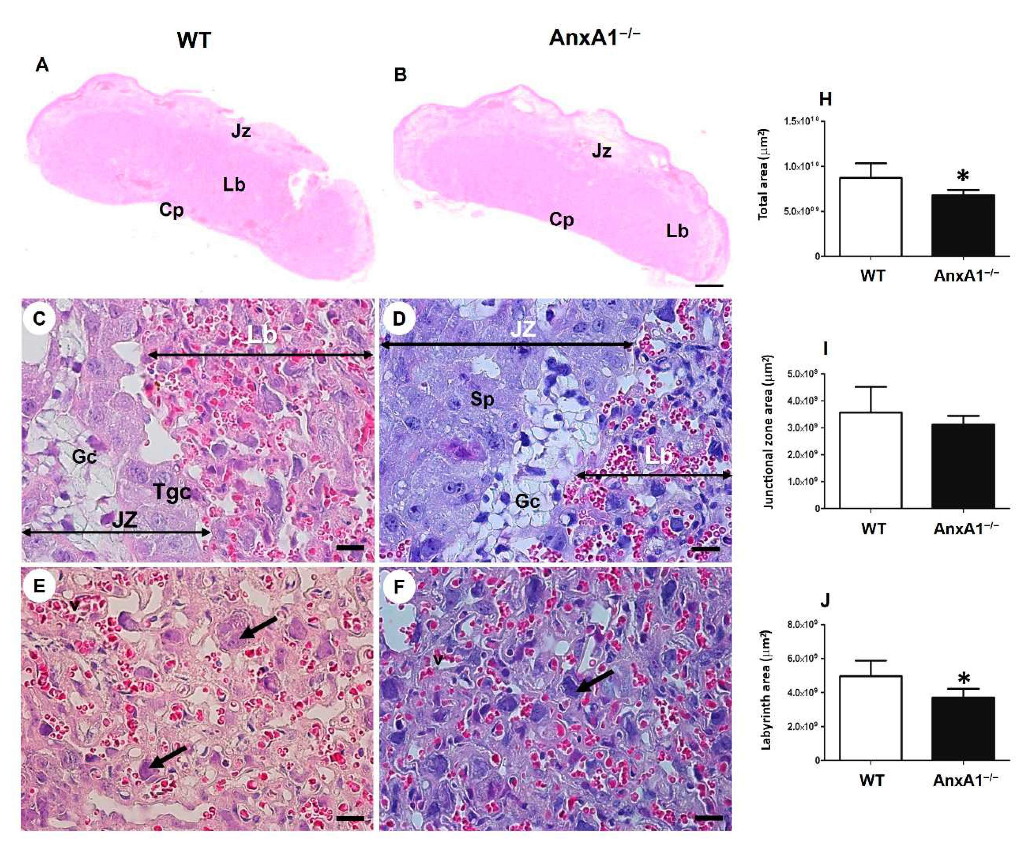Preprints 73451 g001
