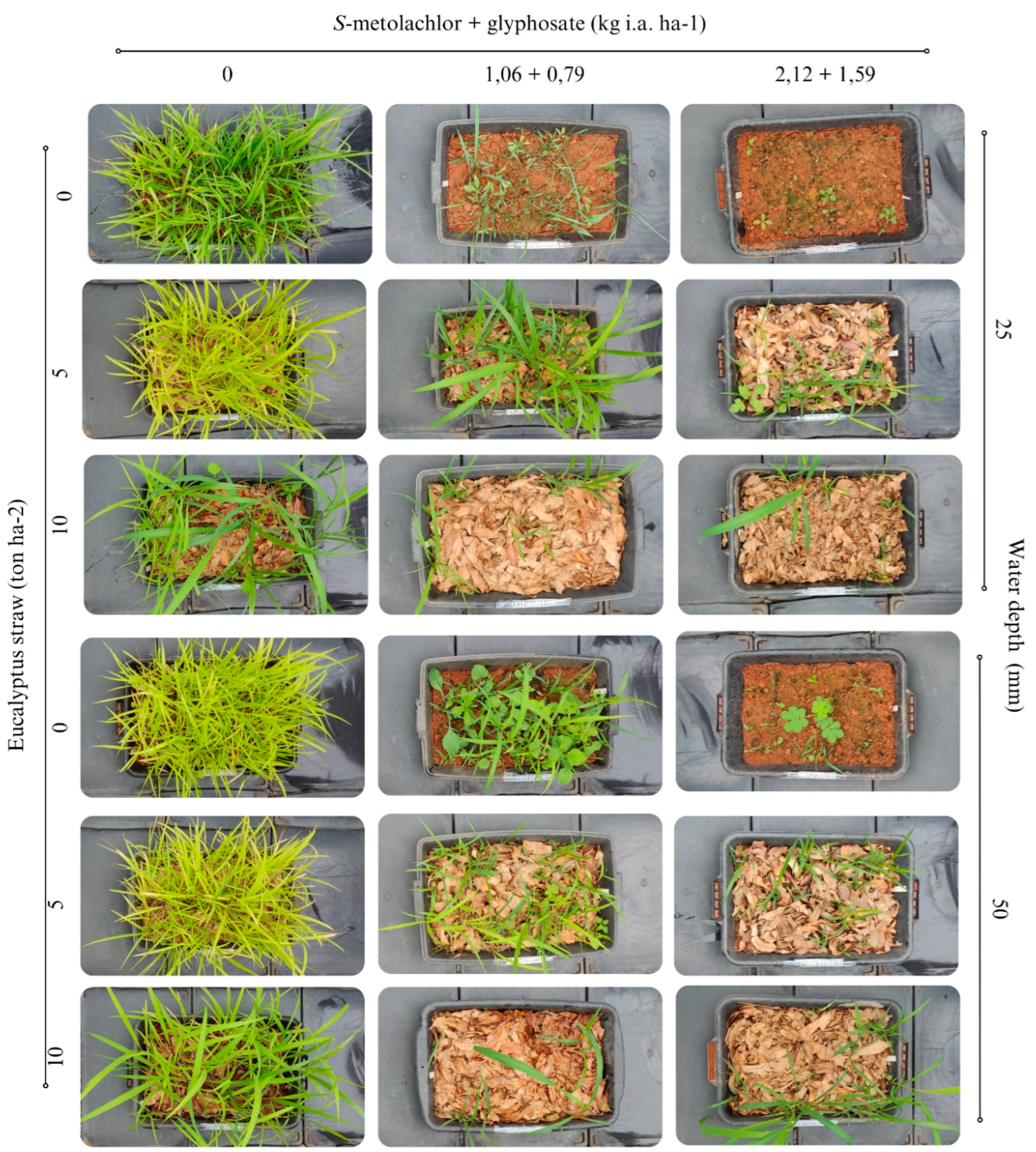 Preprints 79709 g001