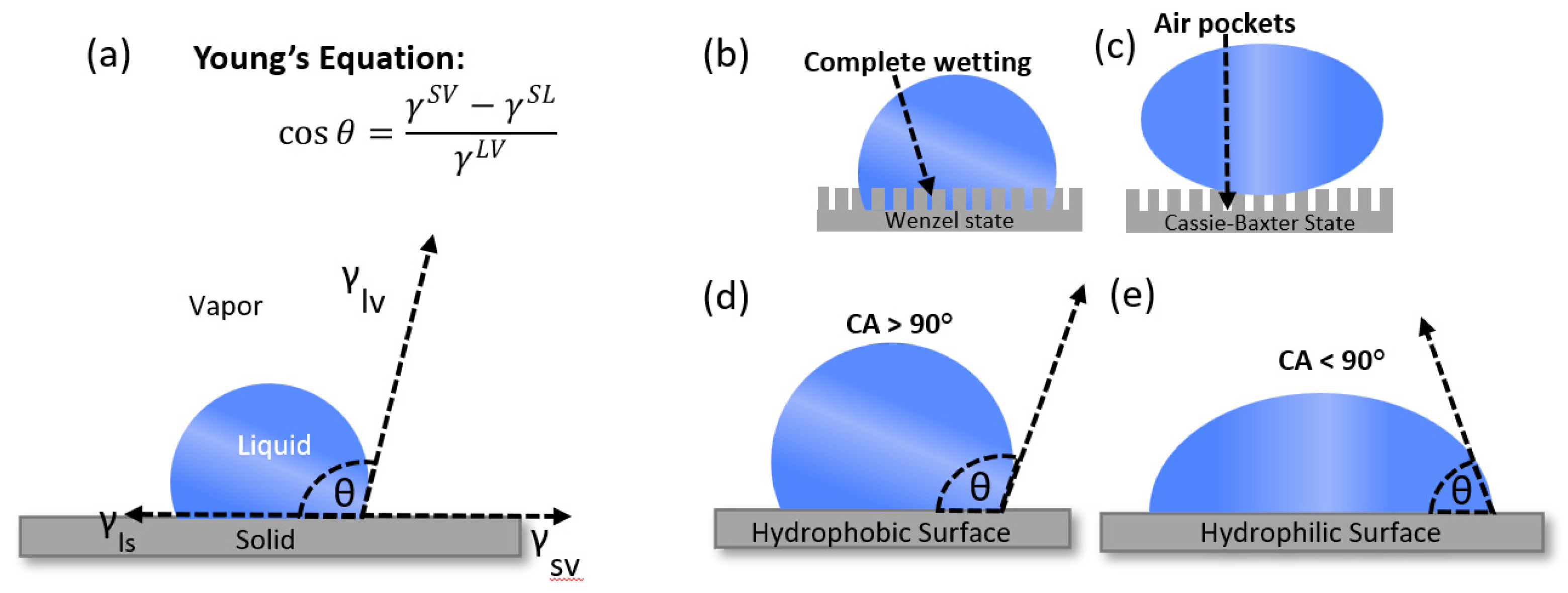 Preprints 76070 g001