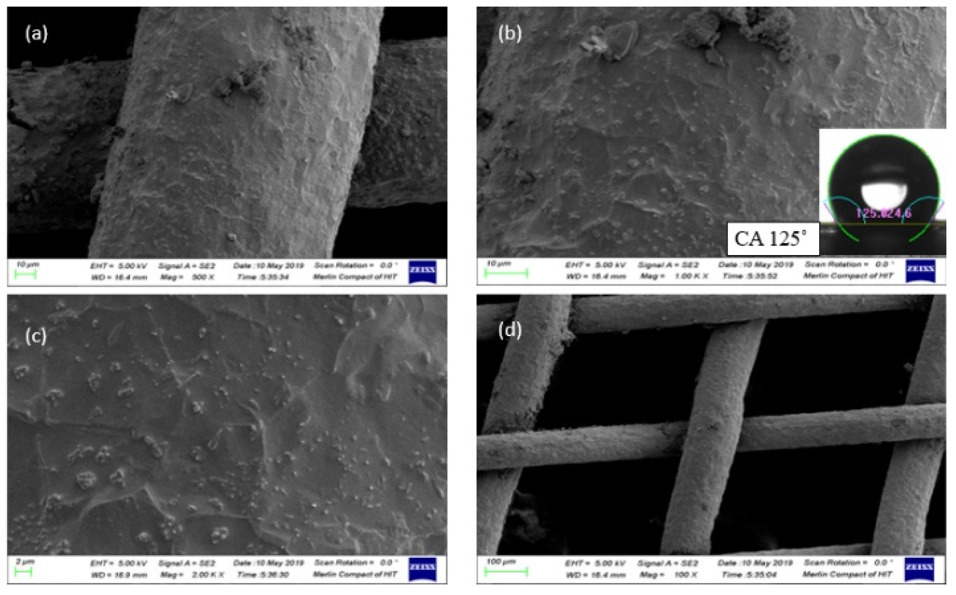 Preprints 76070 g004