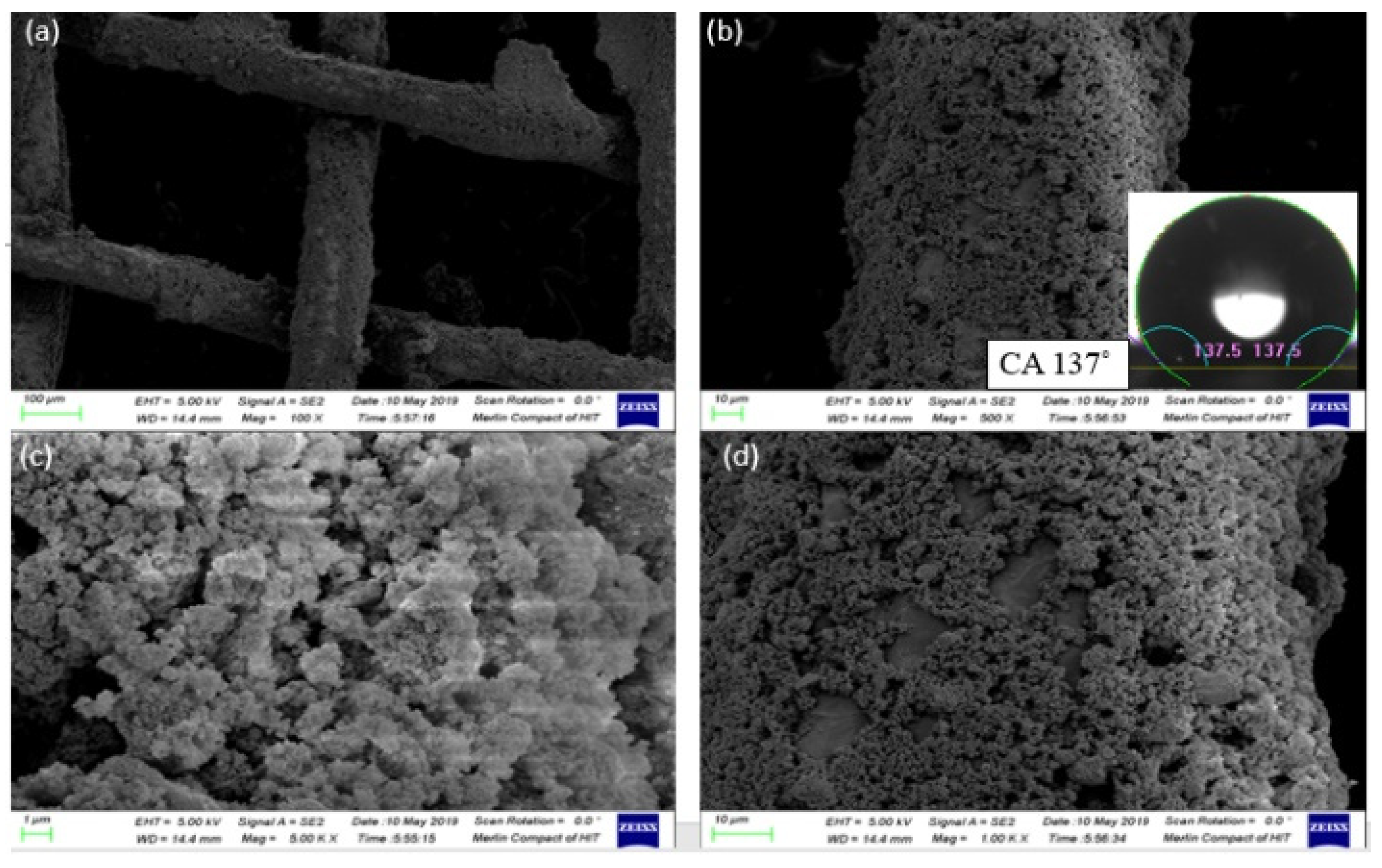 Preprints 76070 g005