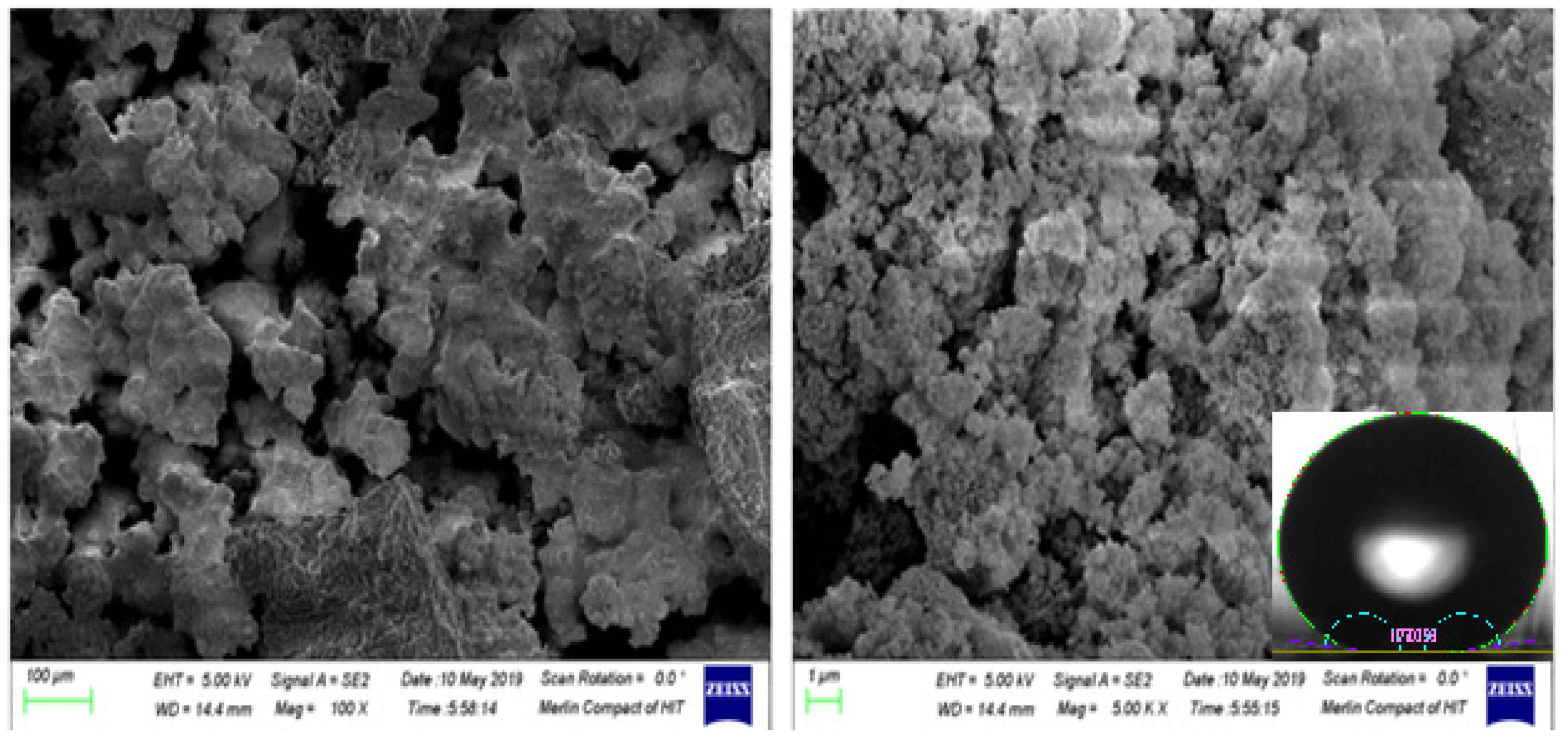 Preprints 76070 g006