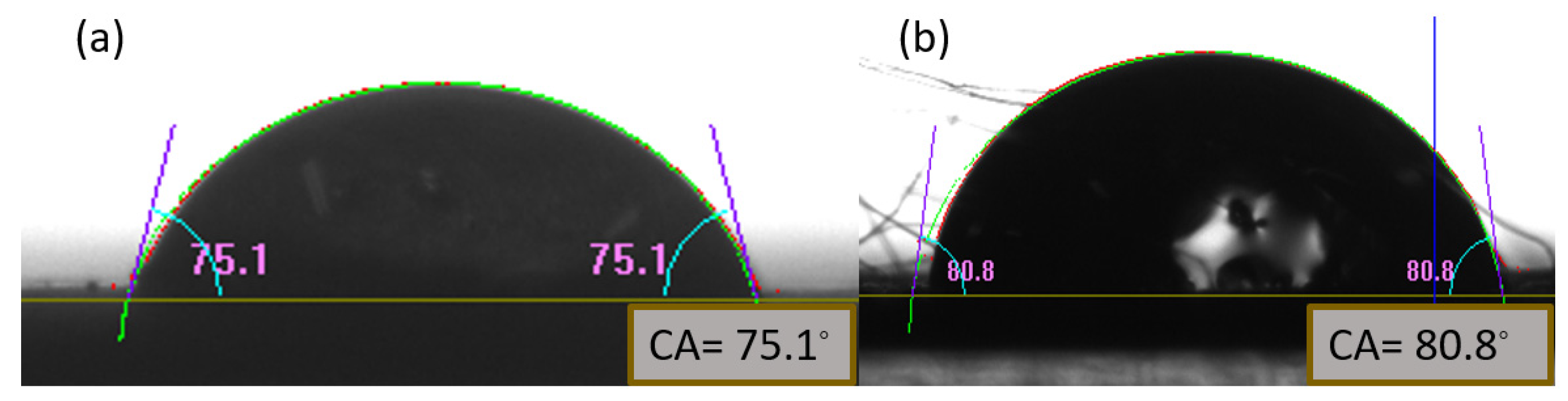 Preprints 76070 g009