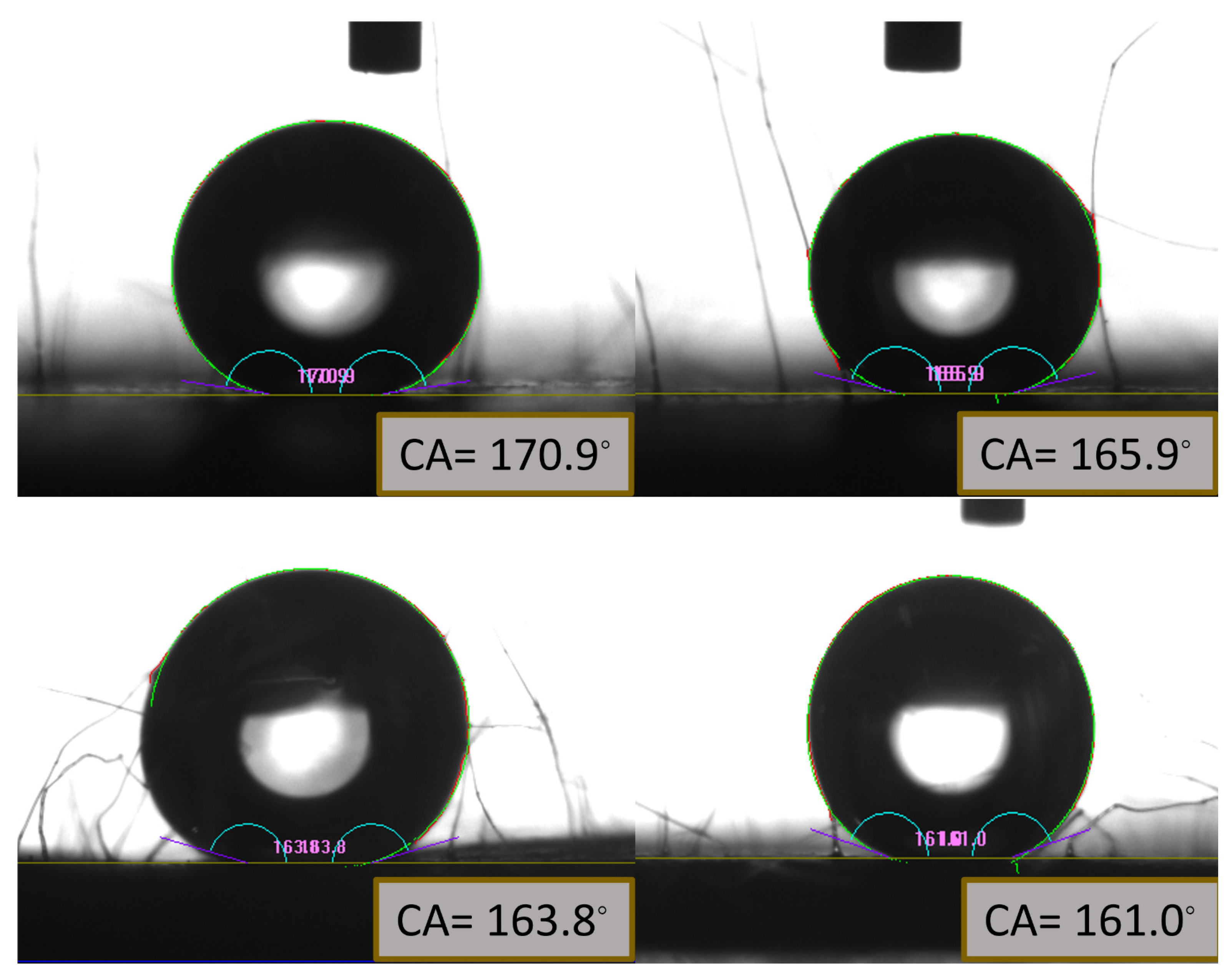 Preprints 76070 g011