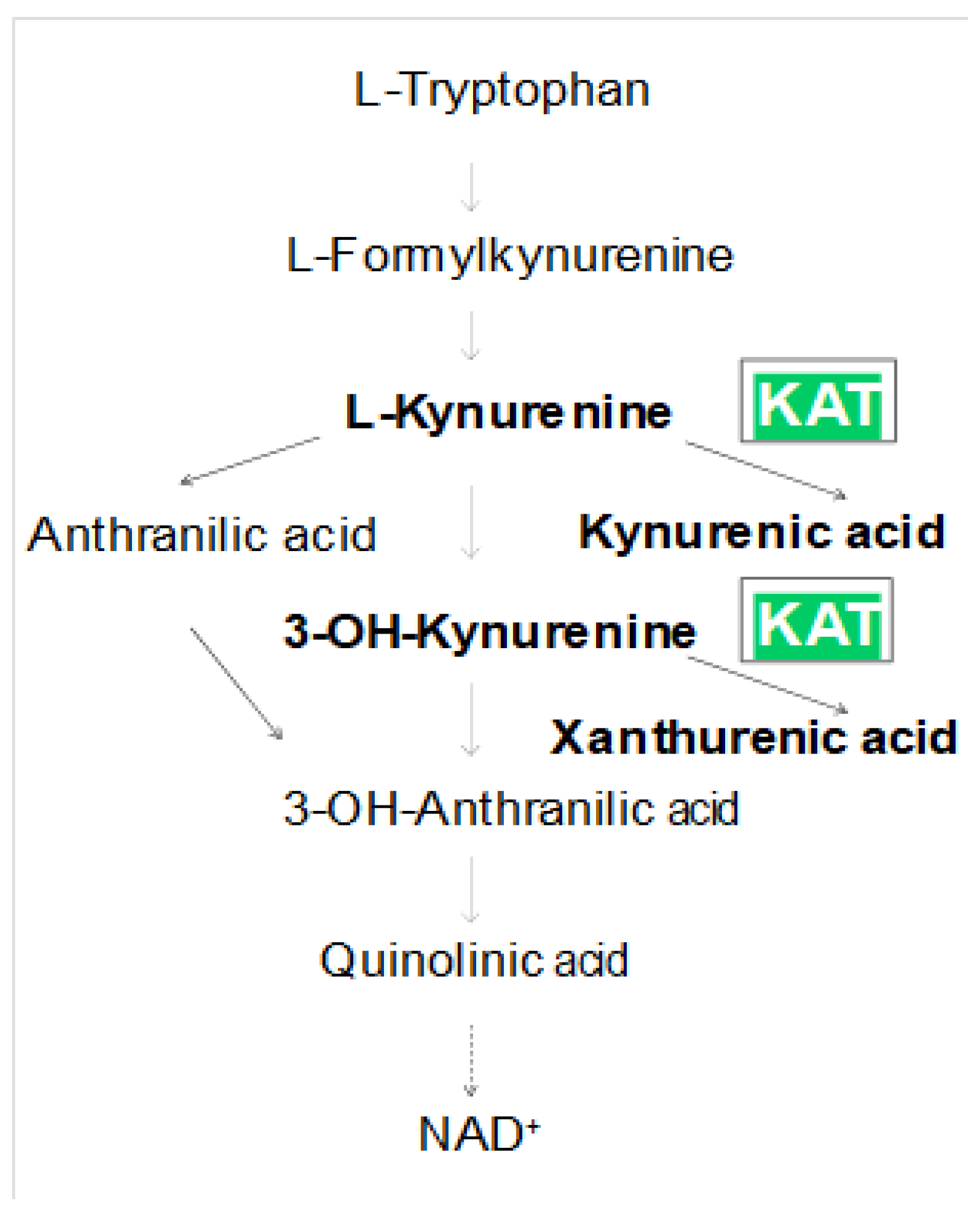 Preprints 190399 g001
