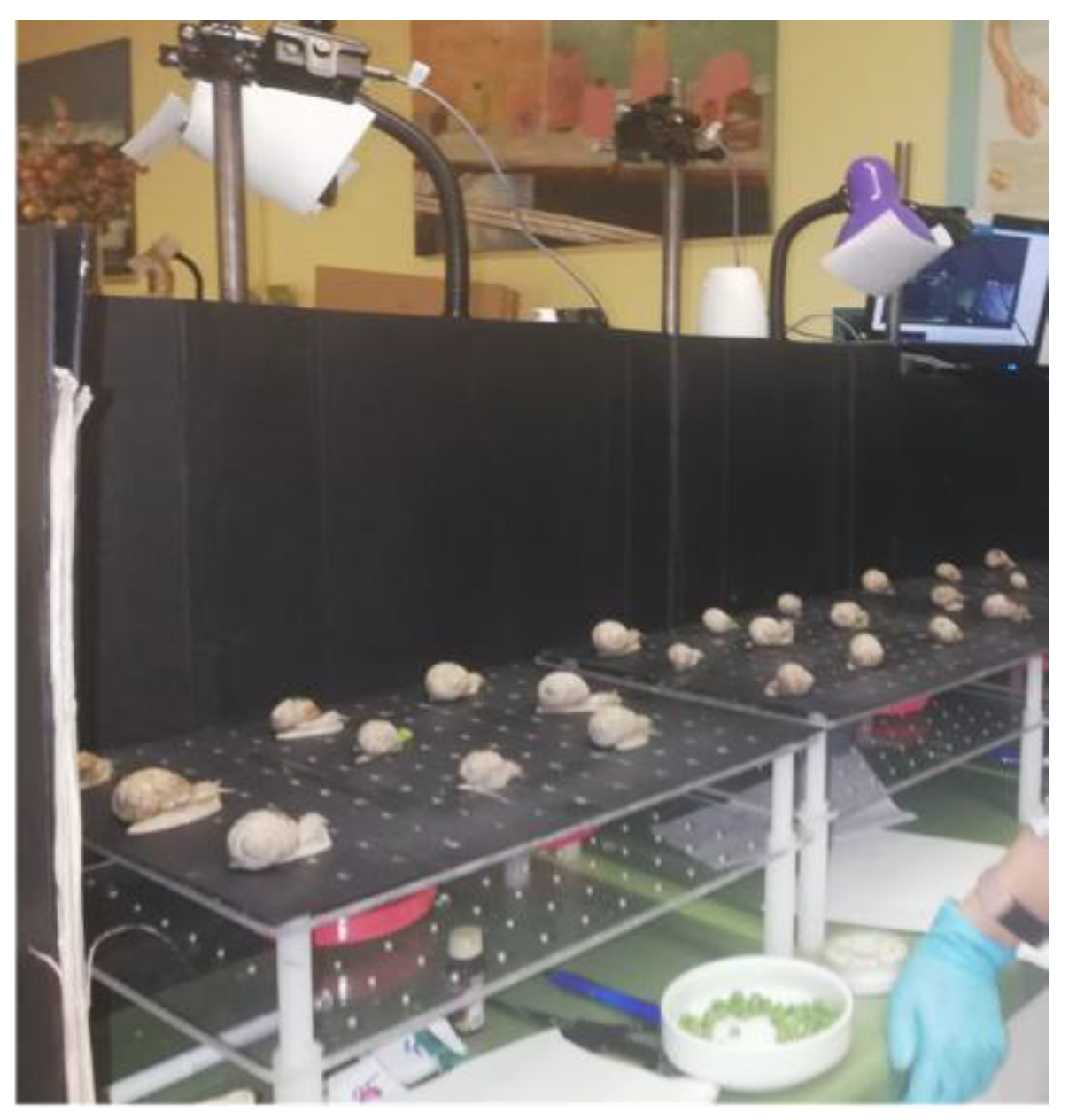 Preprints 190399 g003