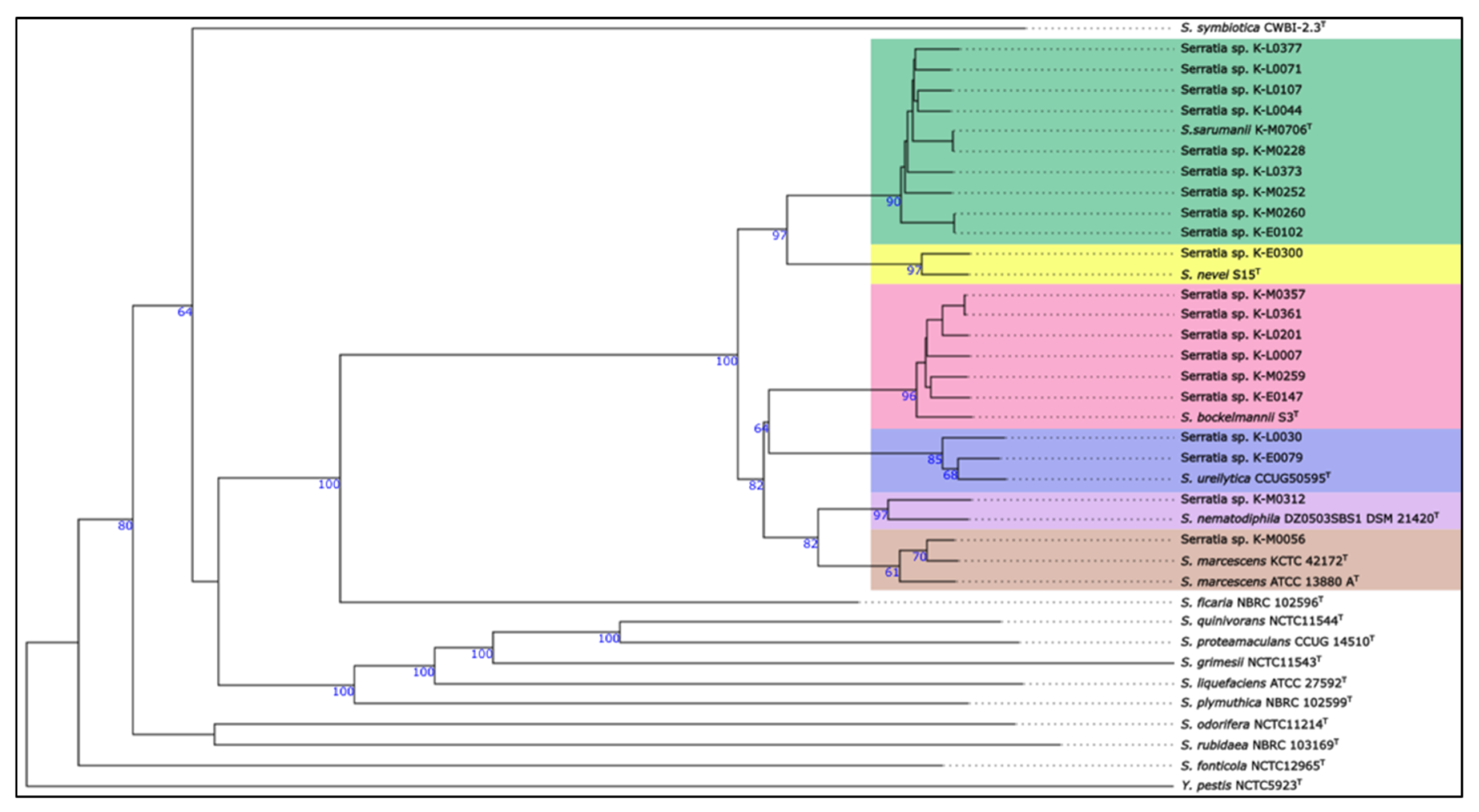 Preprints 190811 g001