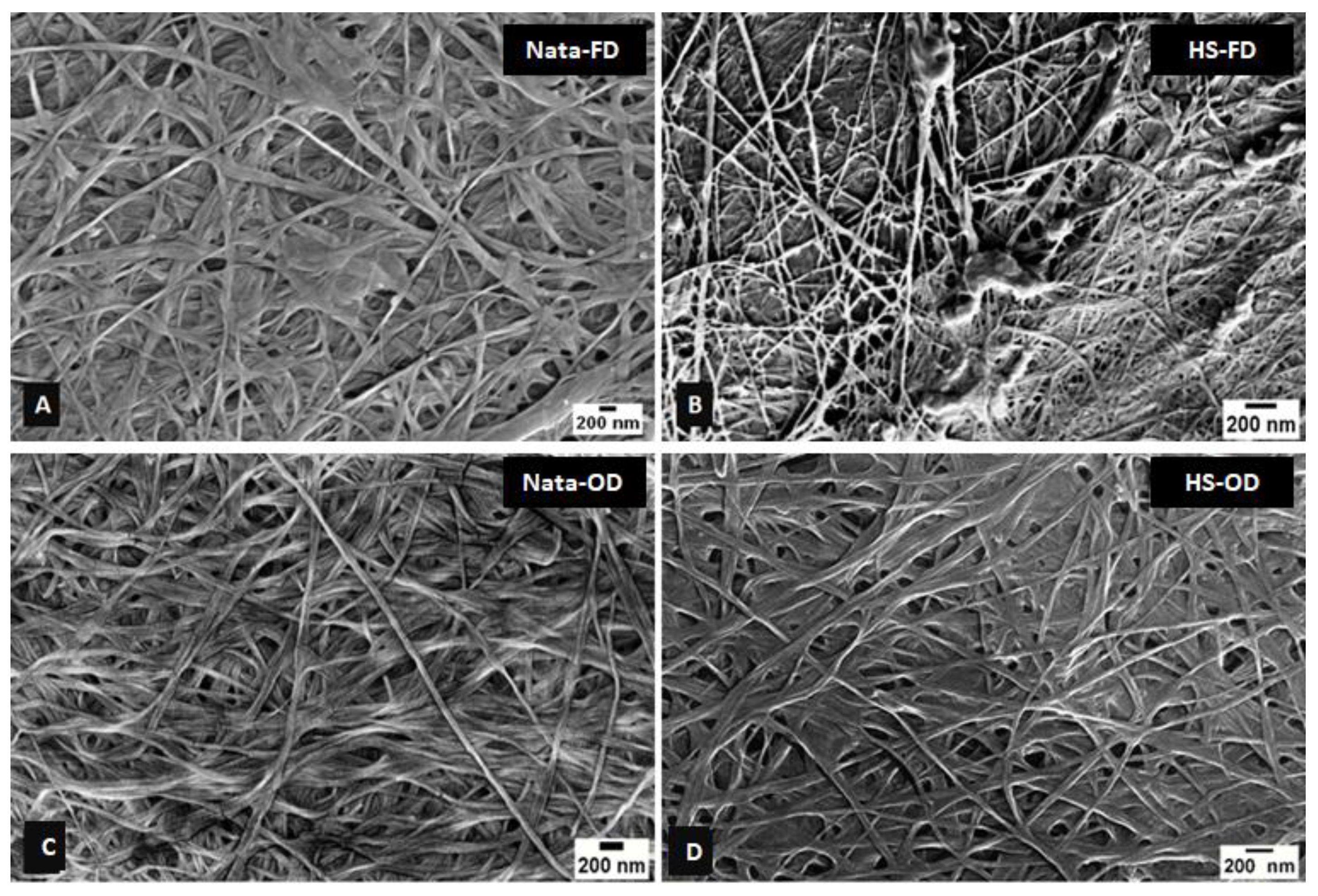 Preprints 111737 g002