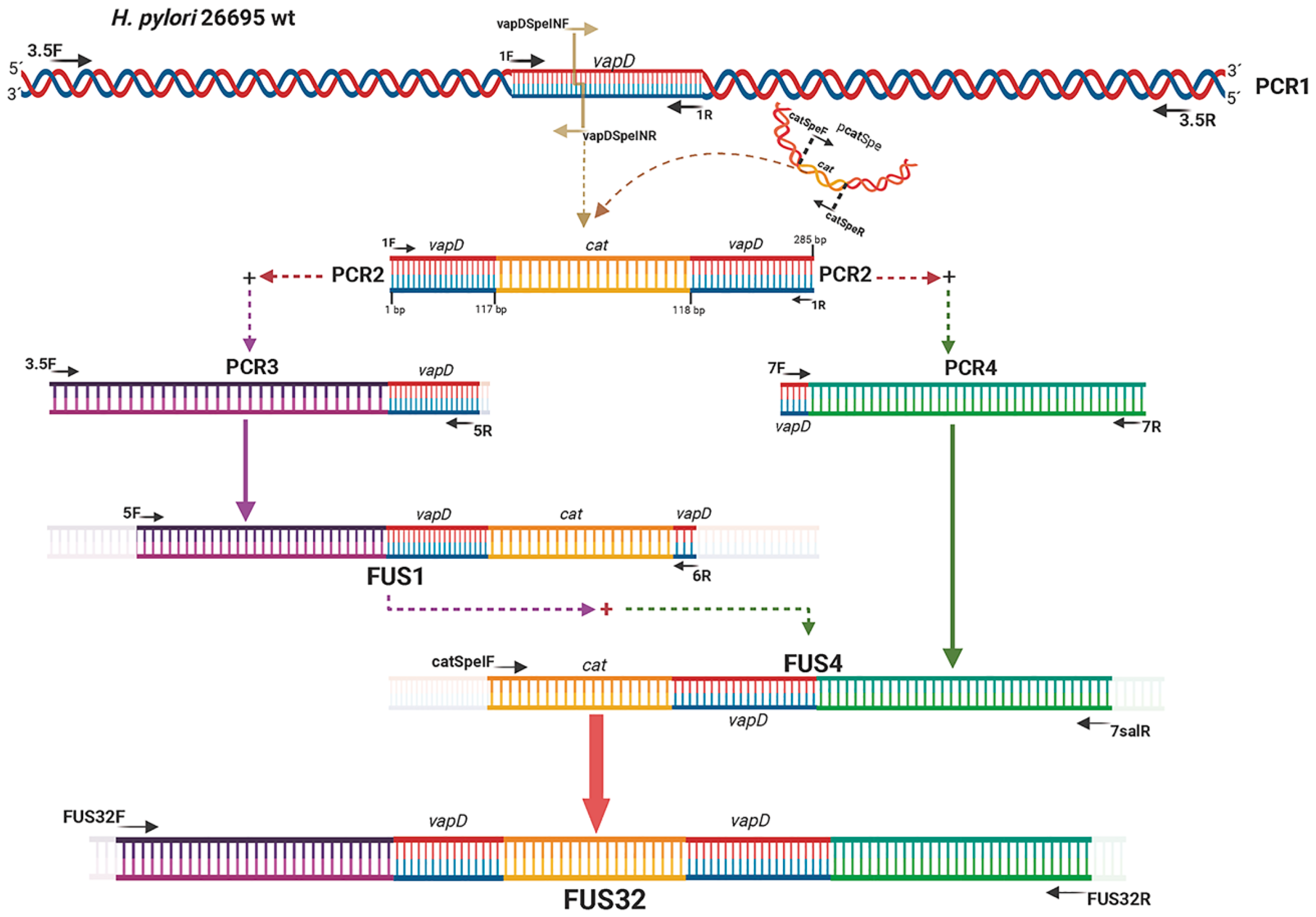 Preprints 166536 g001
