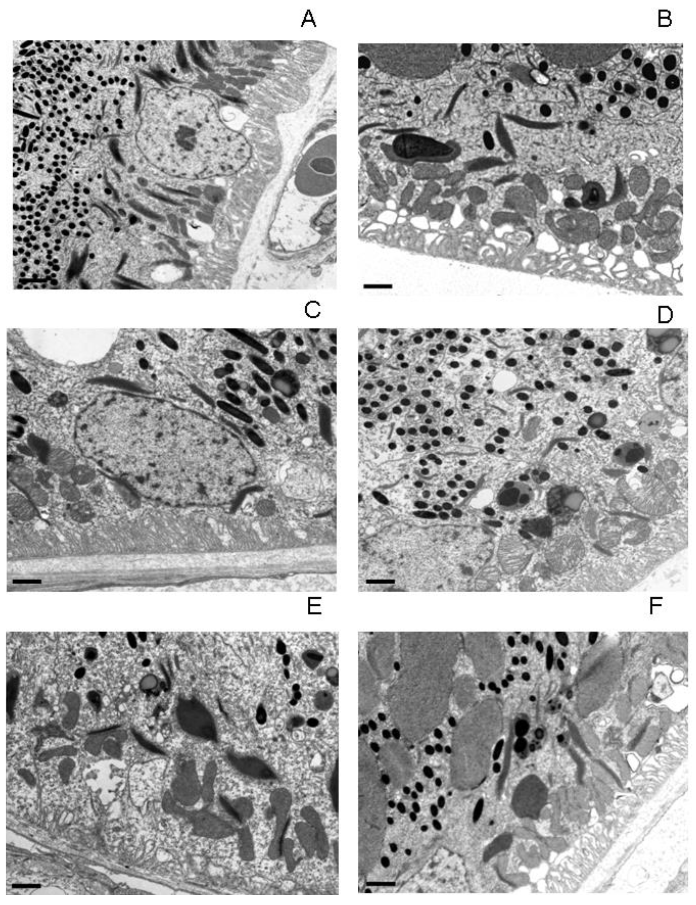 Preprints 103799 g001