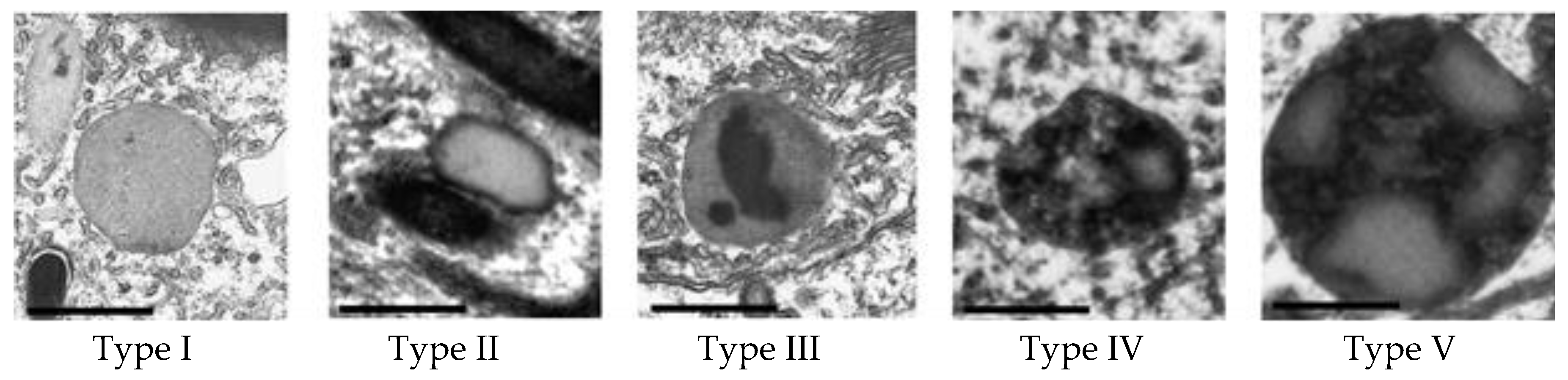 Preprints 103799 g002
