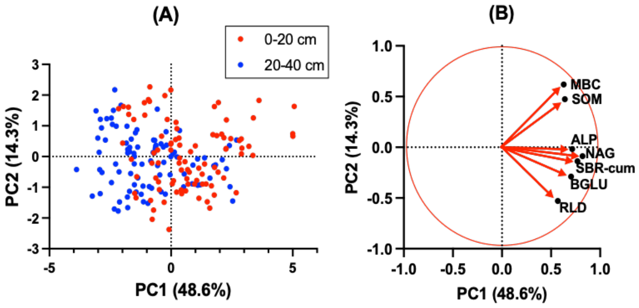 Preprints 226567 g004