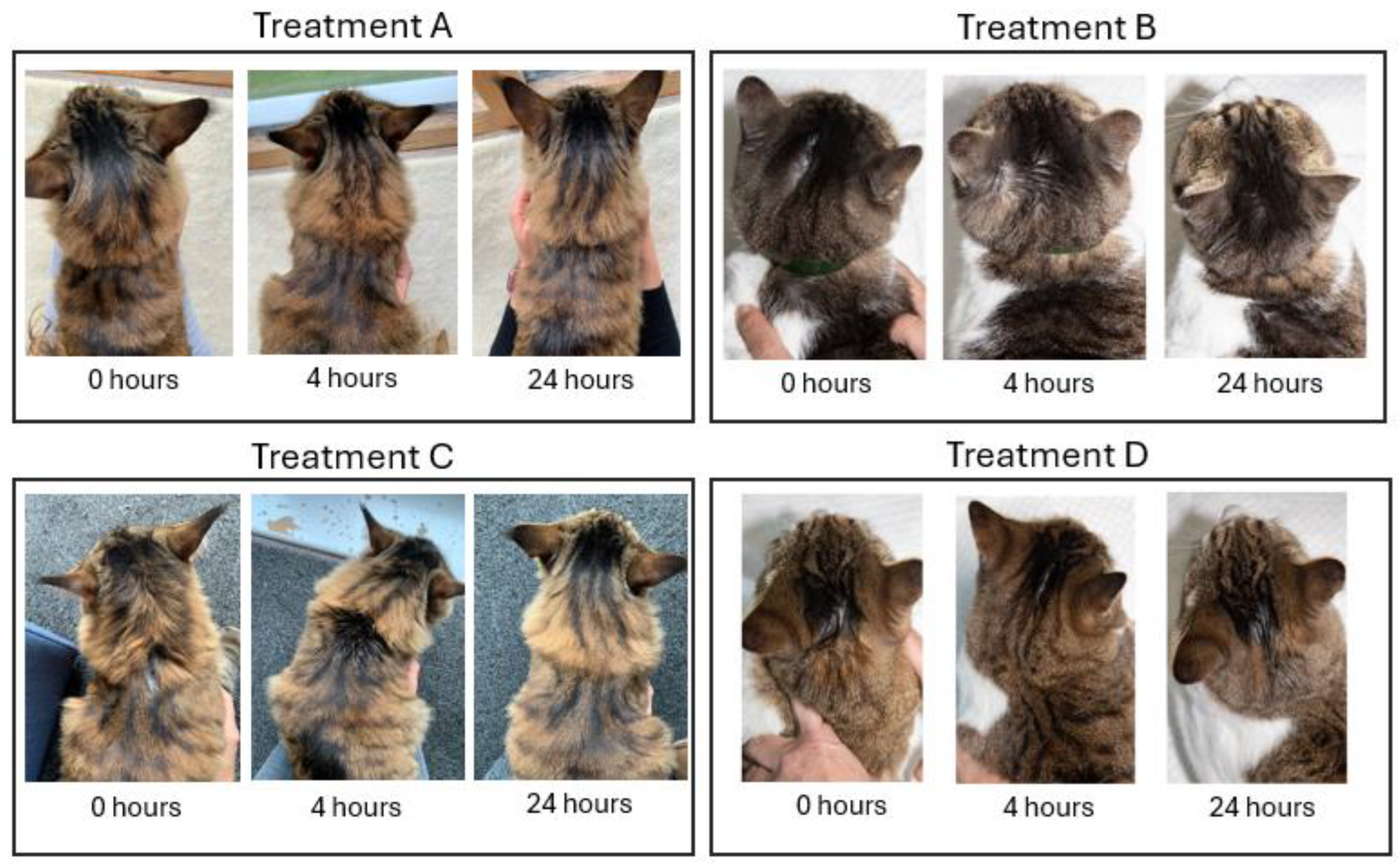 Preprints 156817 g003