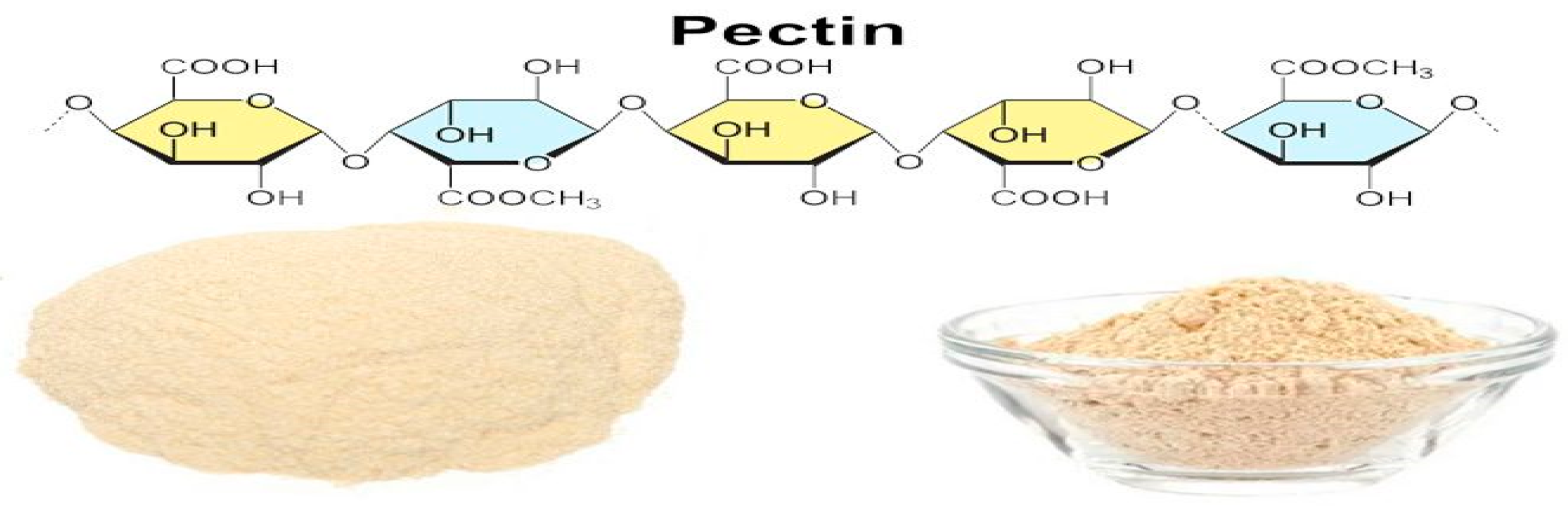 Preprints 145495 g001