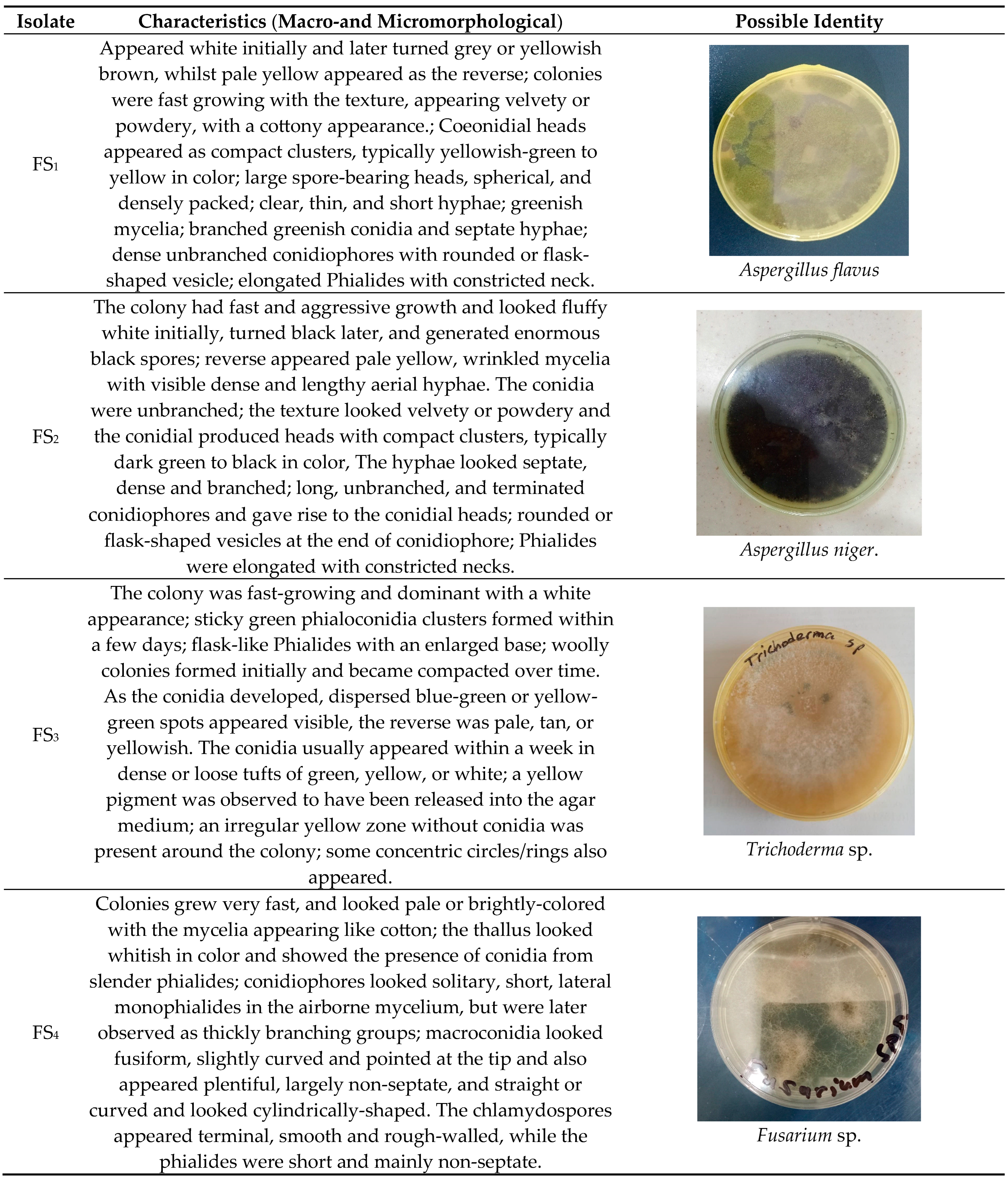 Preprints 145495 i001