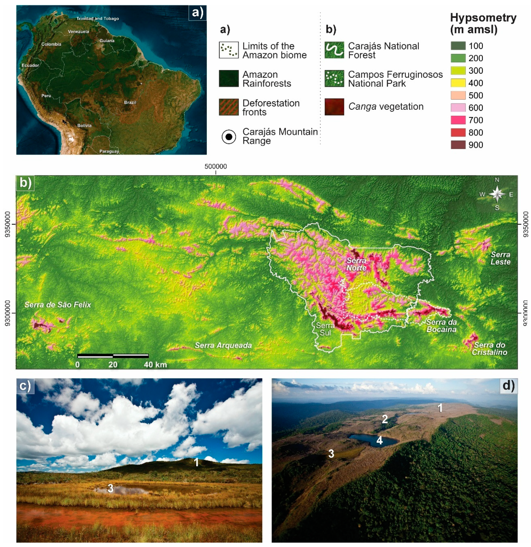Preprints 153555 g001