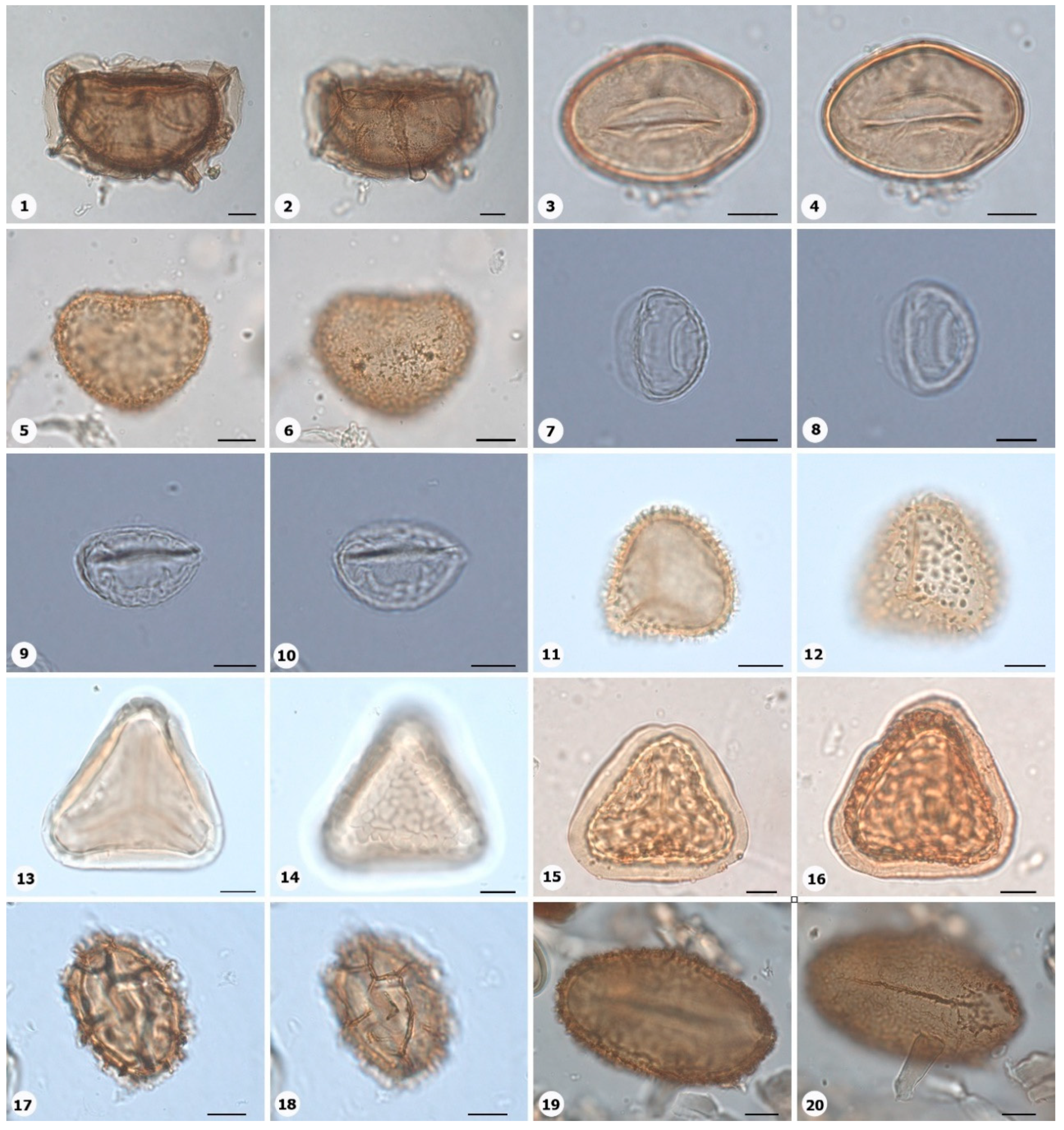 Preprints 153555 g002