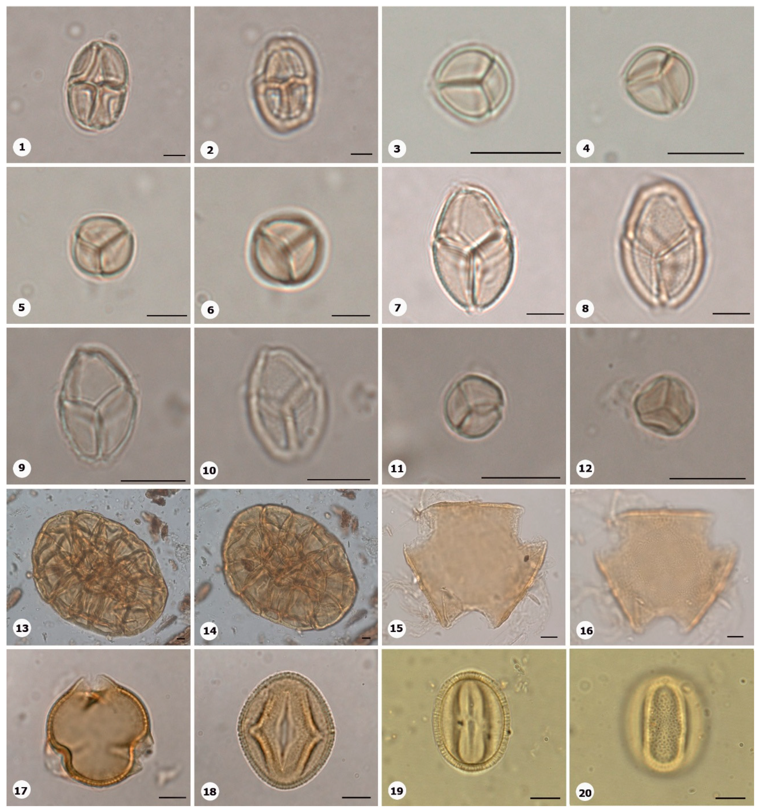 Preprints 153555 g015