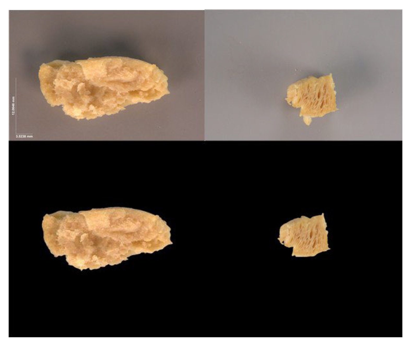 Preprints 190313 g001