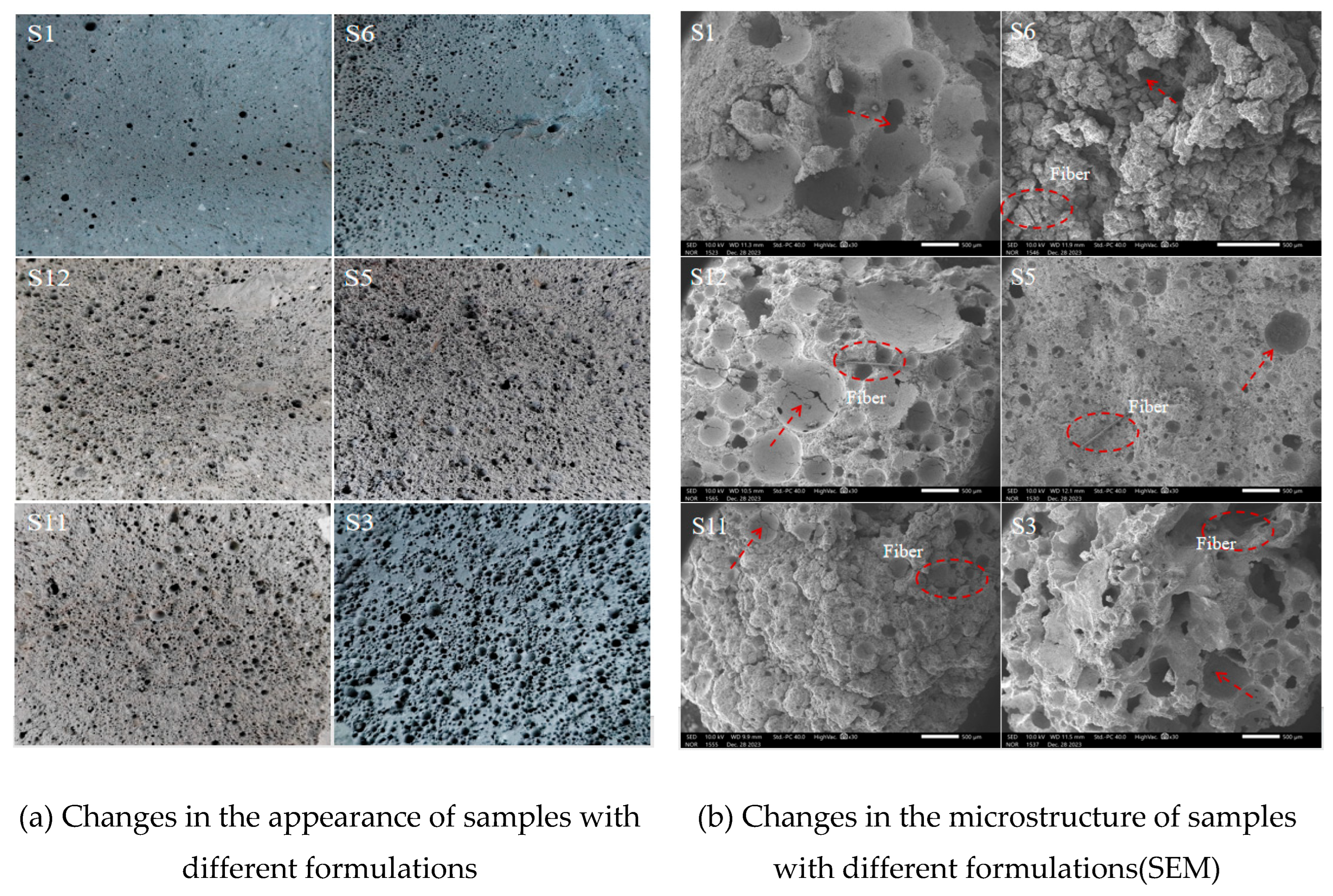 Preprints 185995 g013