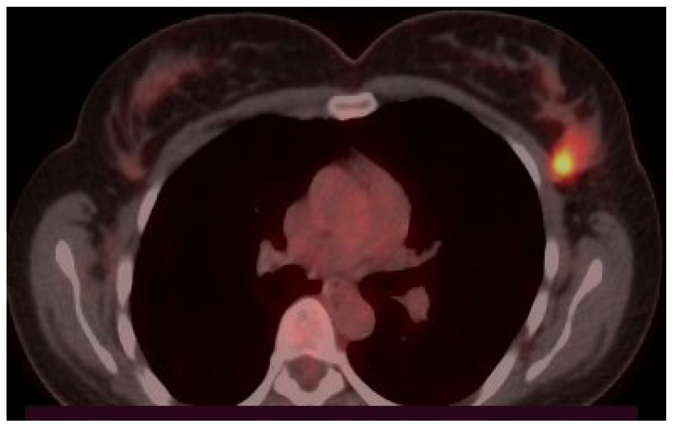 Preprints 189881 g003