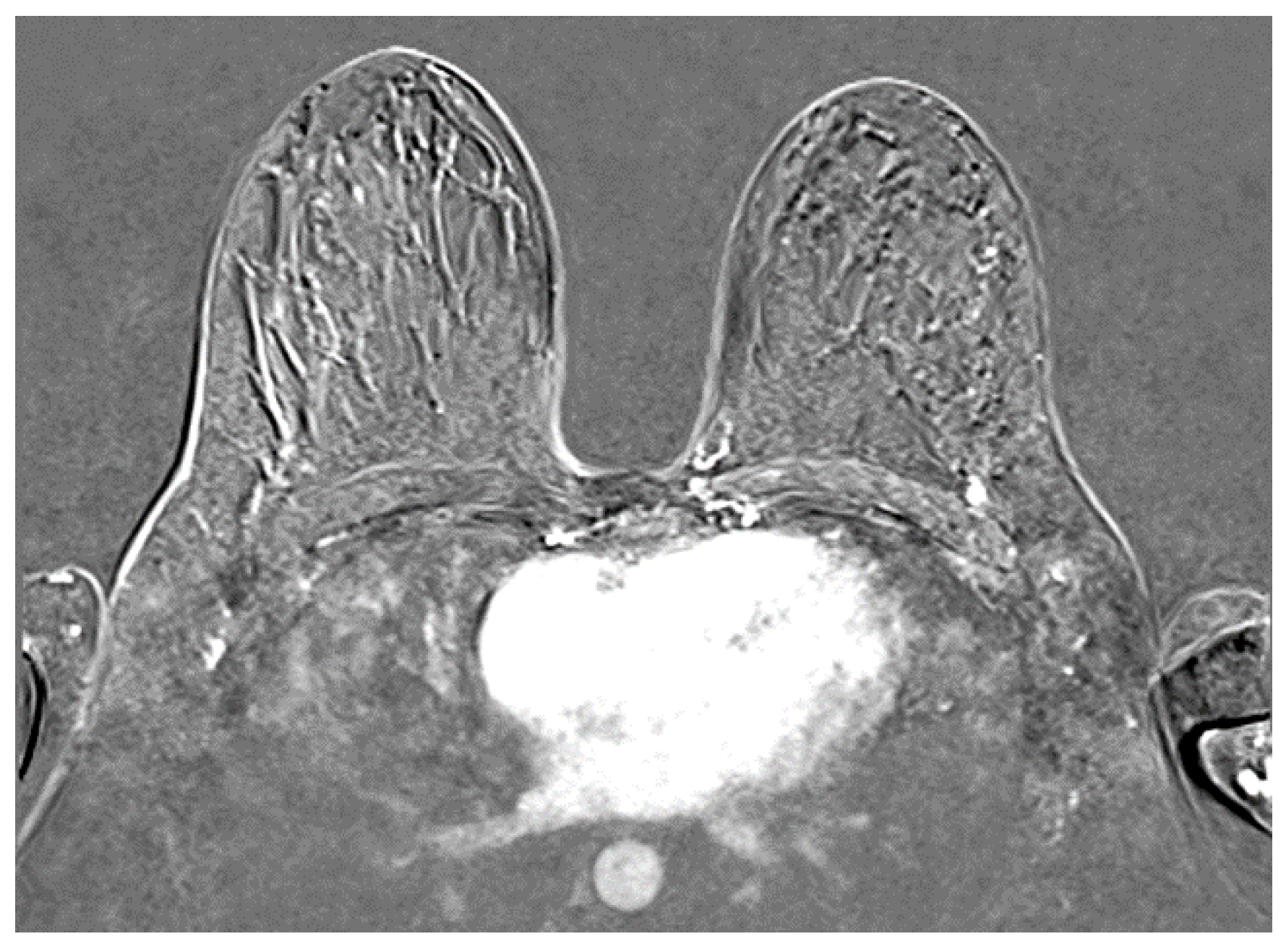 Preprints 189881 g005