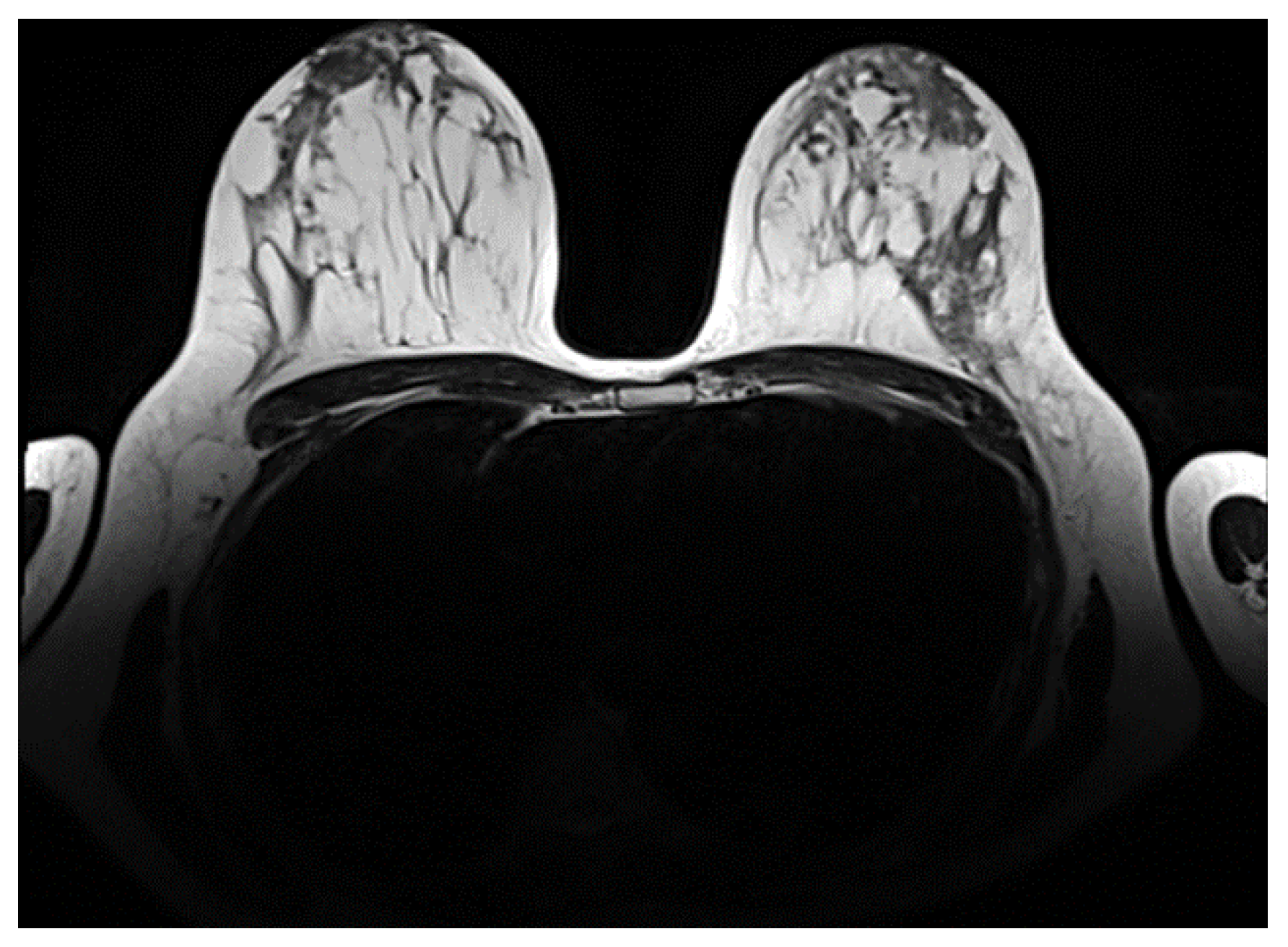 Preprints 189881 g006