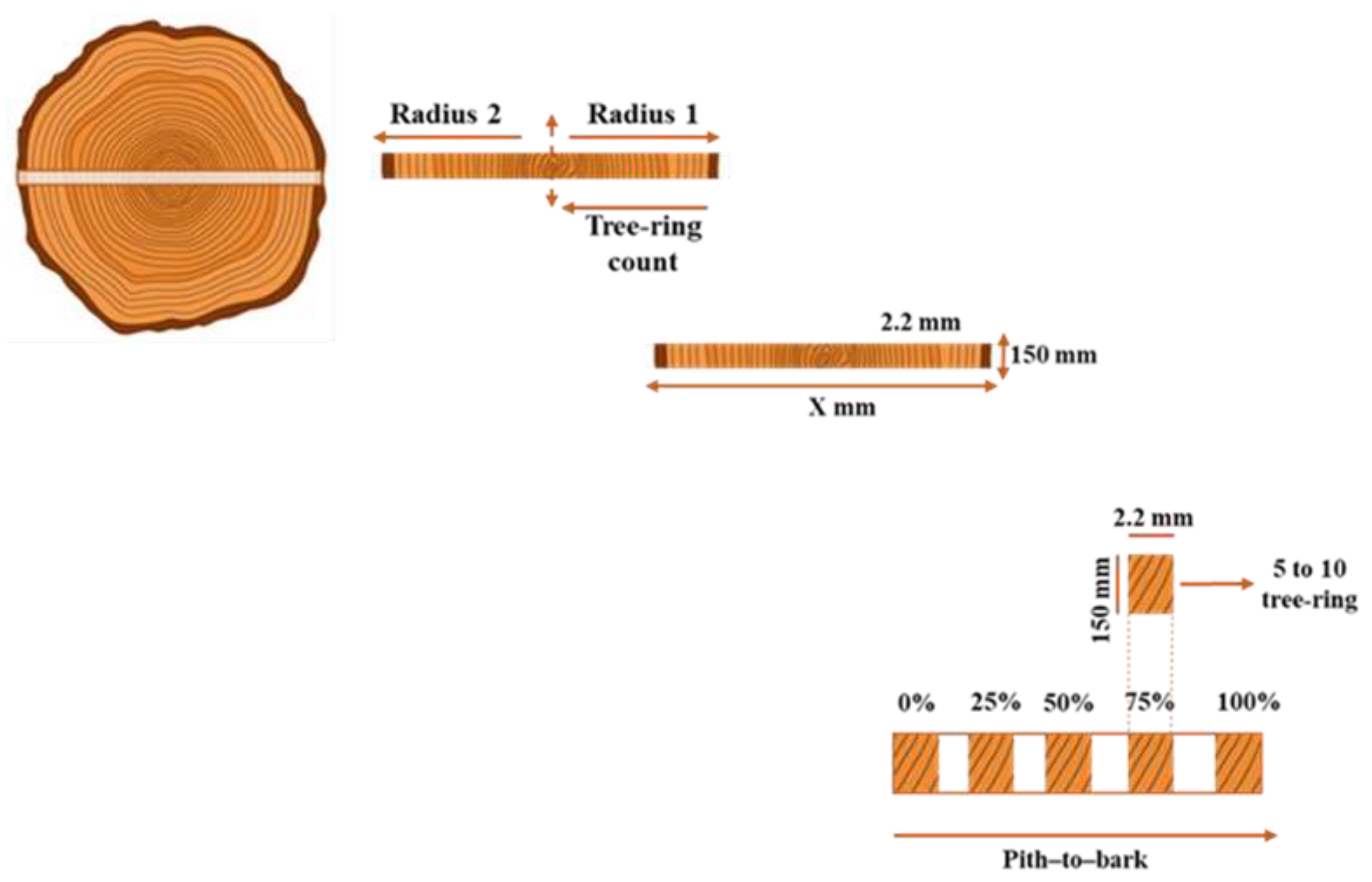 Preprints 202586 g002