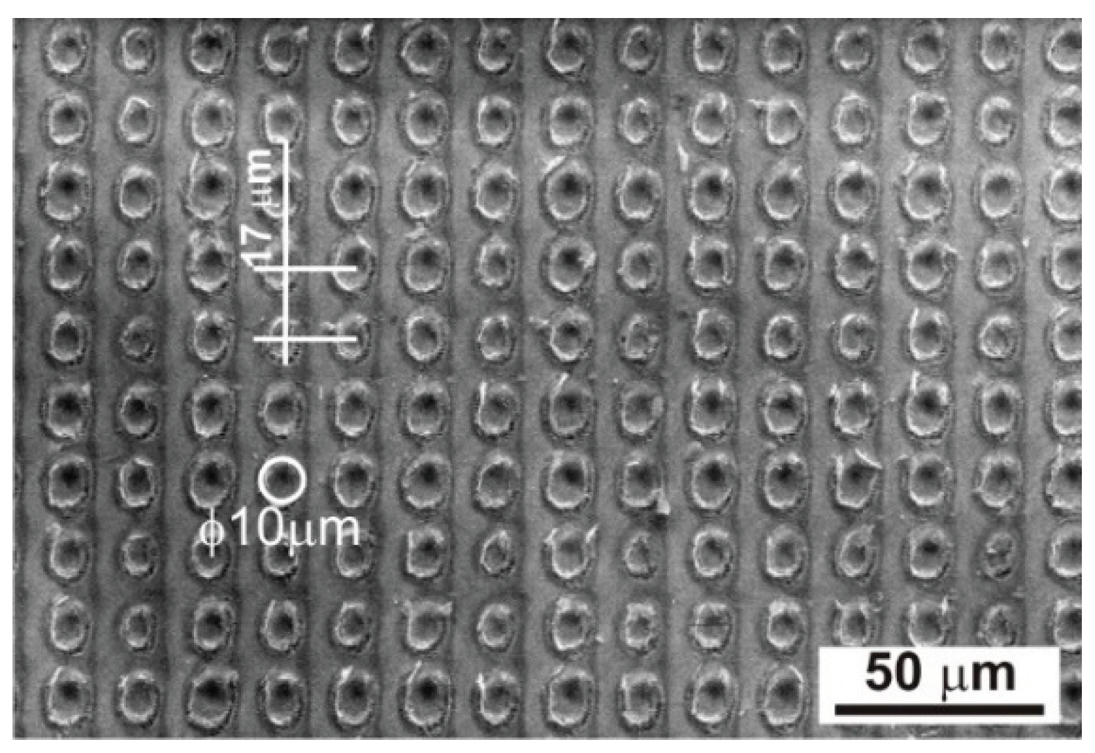 Preprints 102906 g003