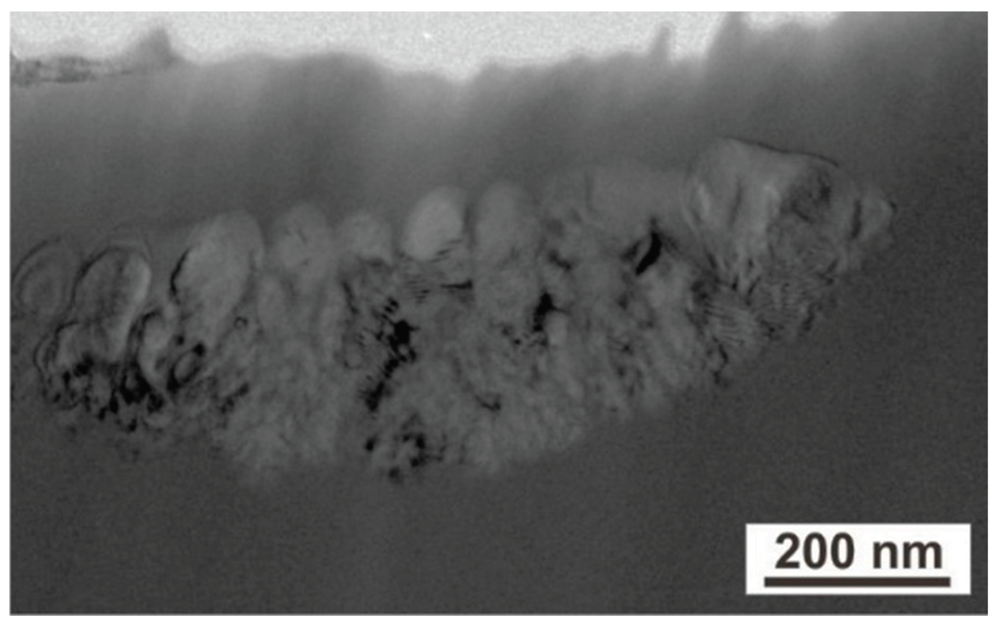 Preprints 102906 g006
