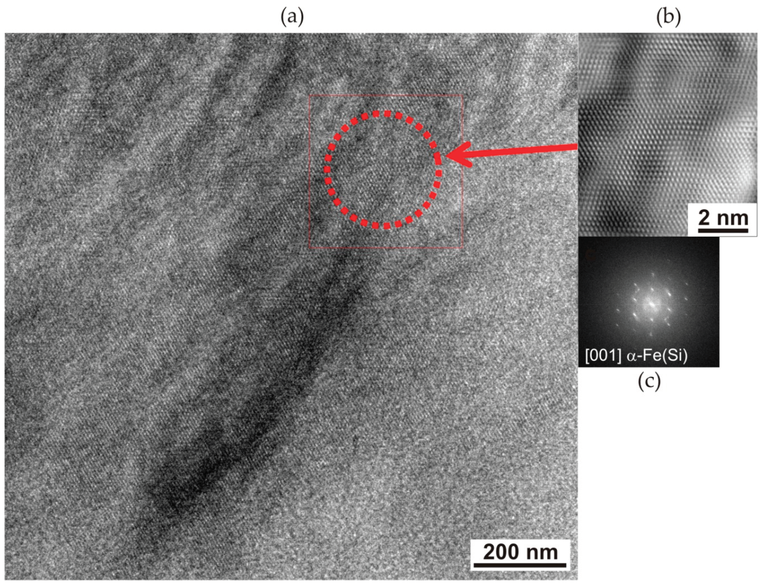 Preprints 102906 g007