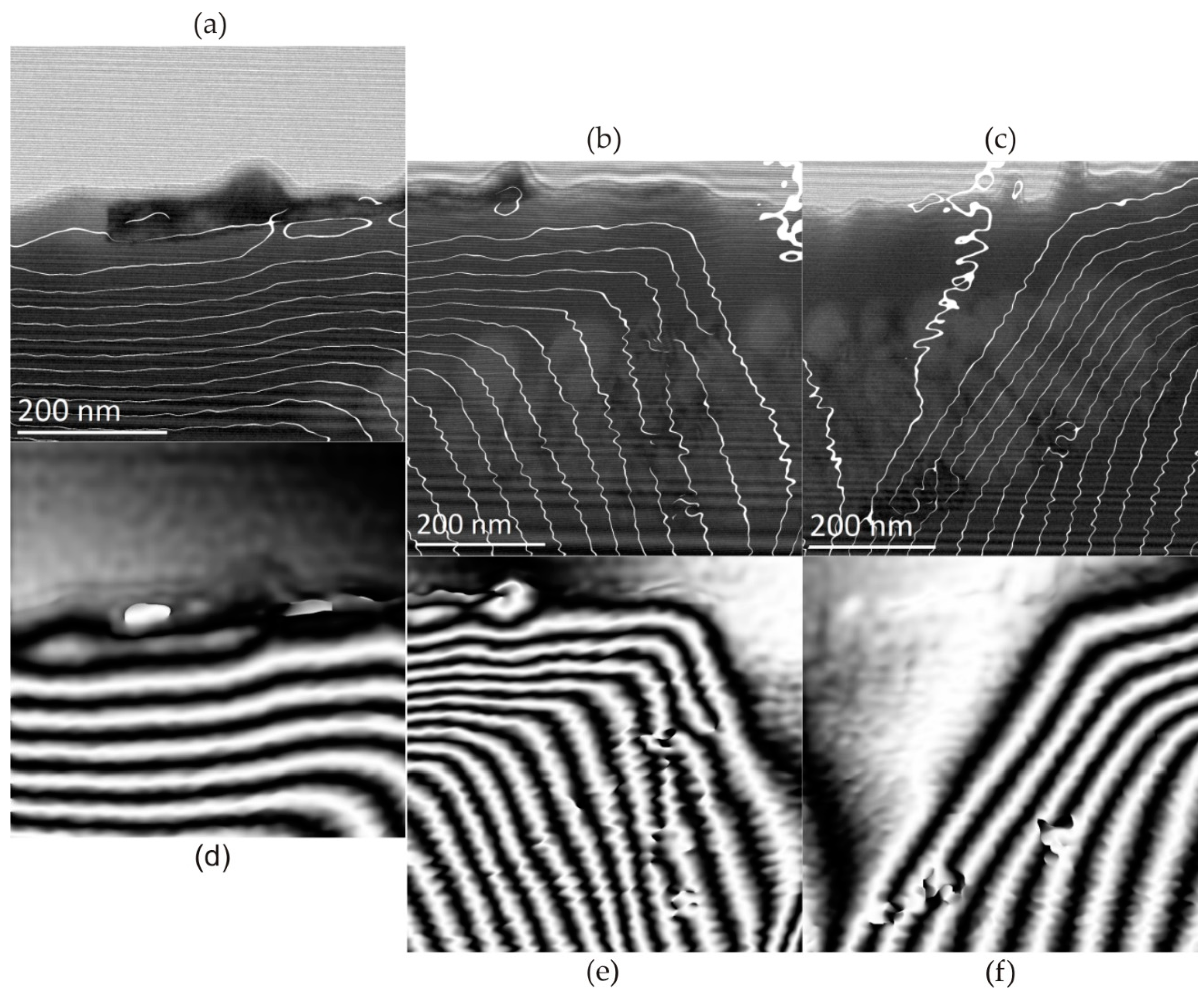 Preprints 102906 g008