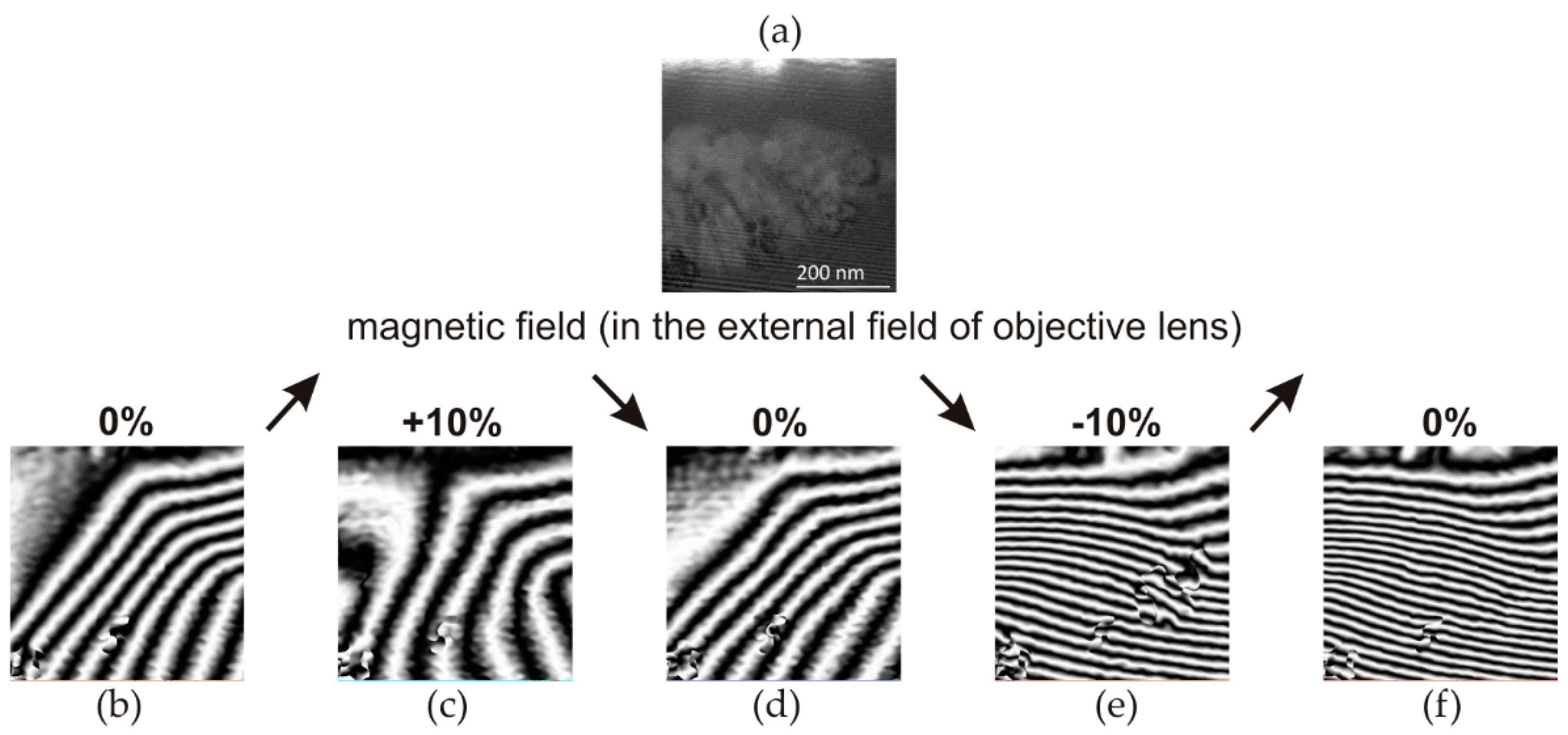 Preprints 102906 g009
