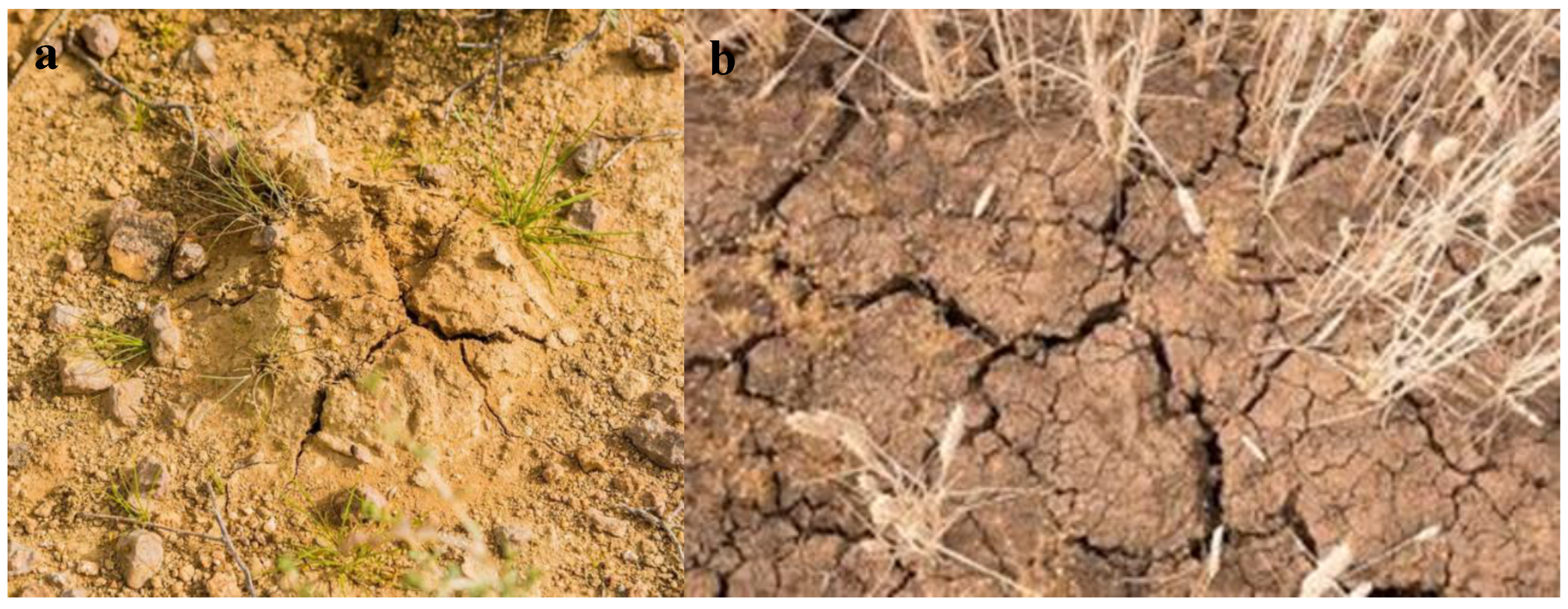 Preprints 172062 g001