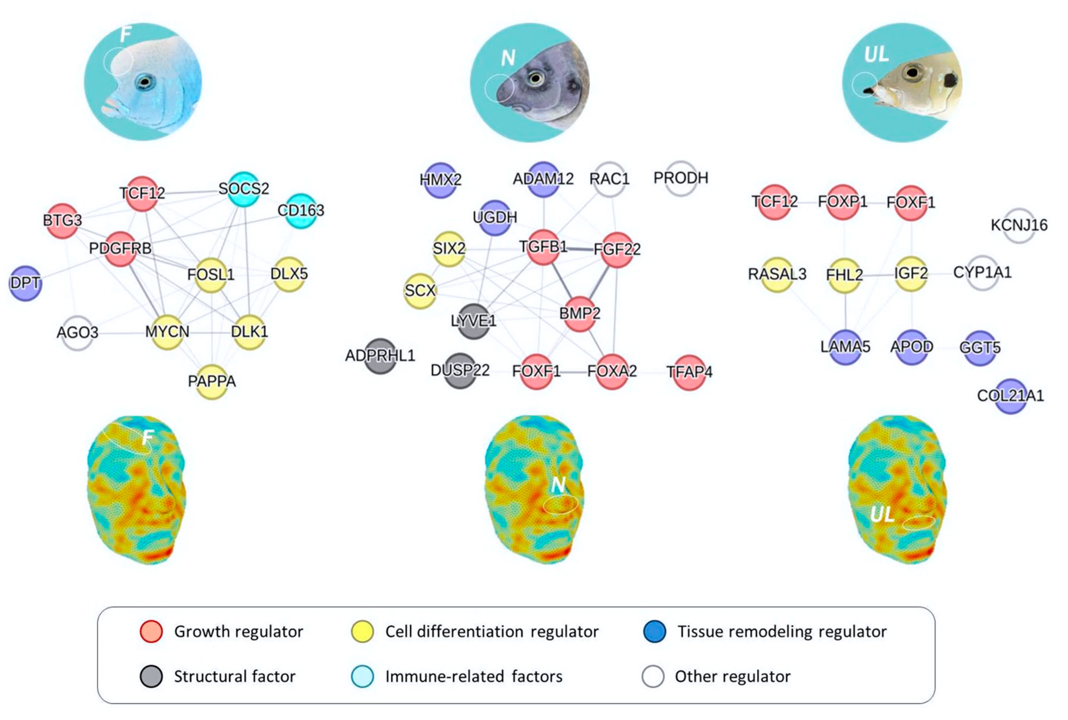 Preprints 170585 g002