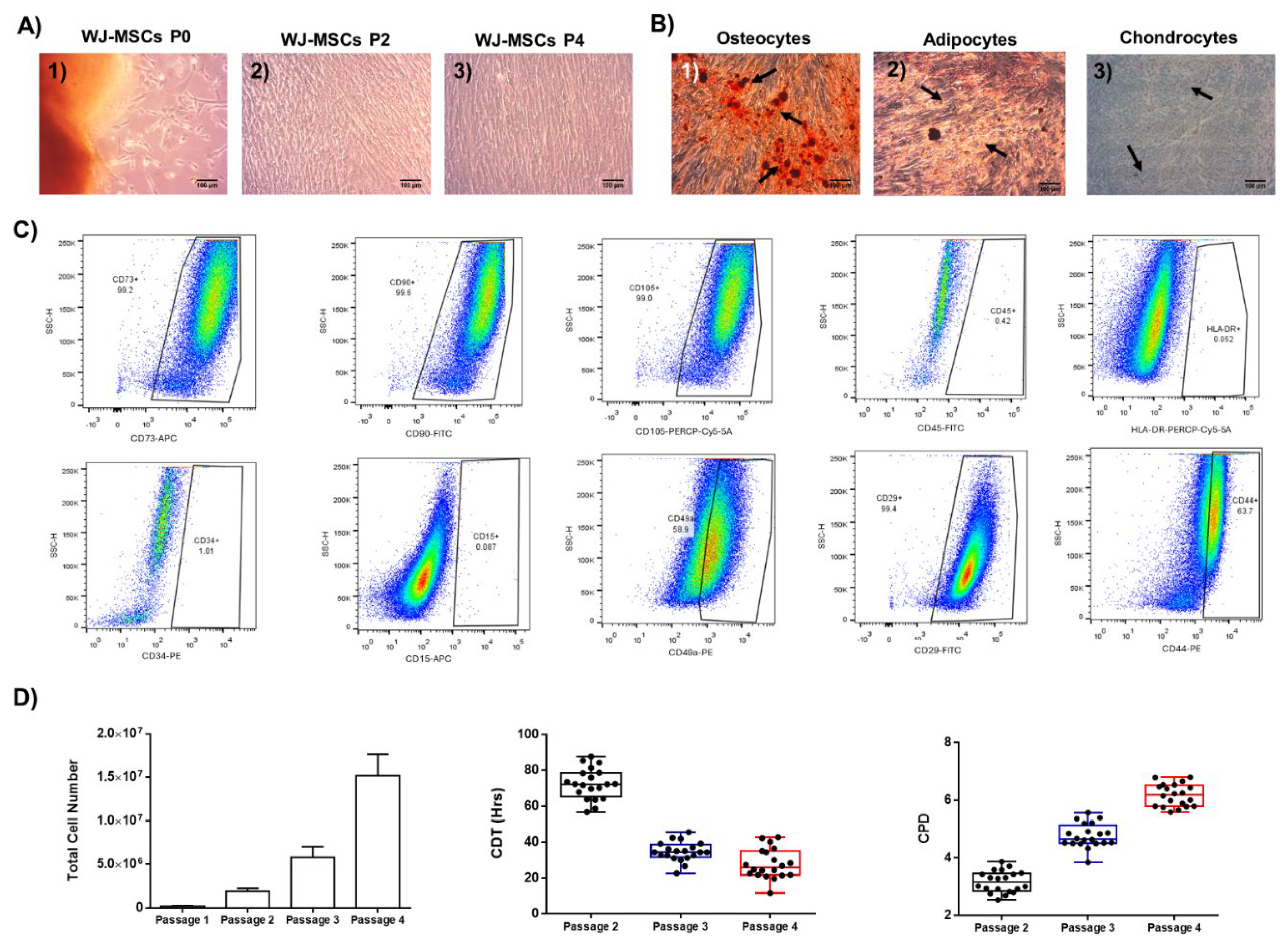 Preprints 173482 g001