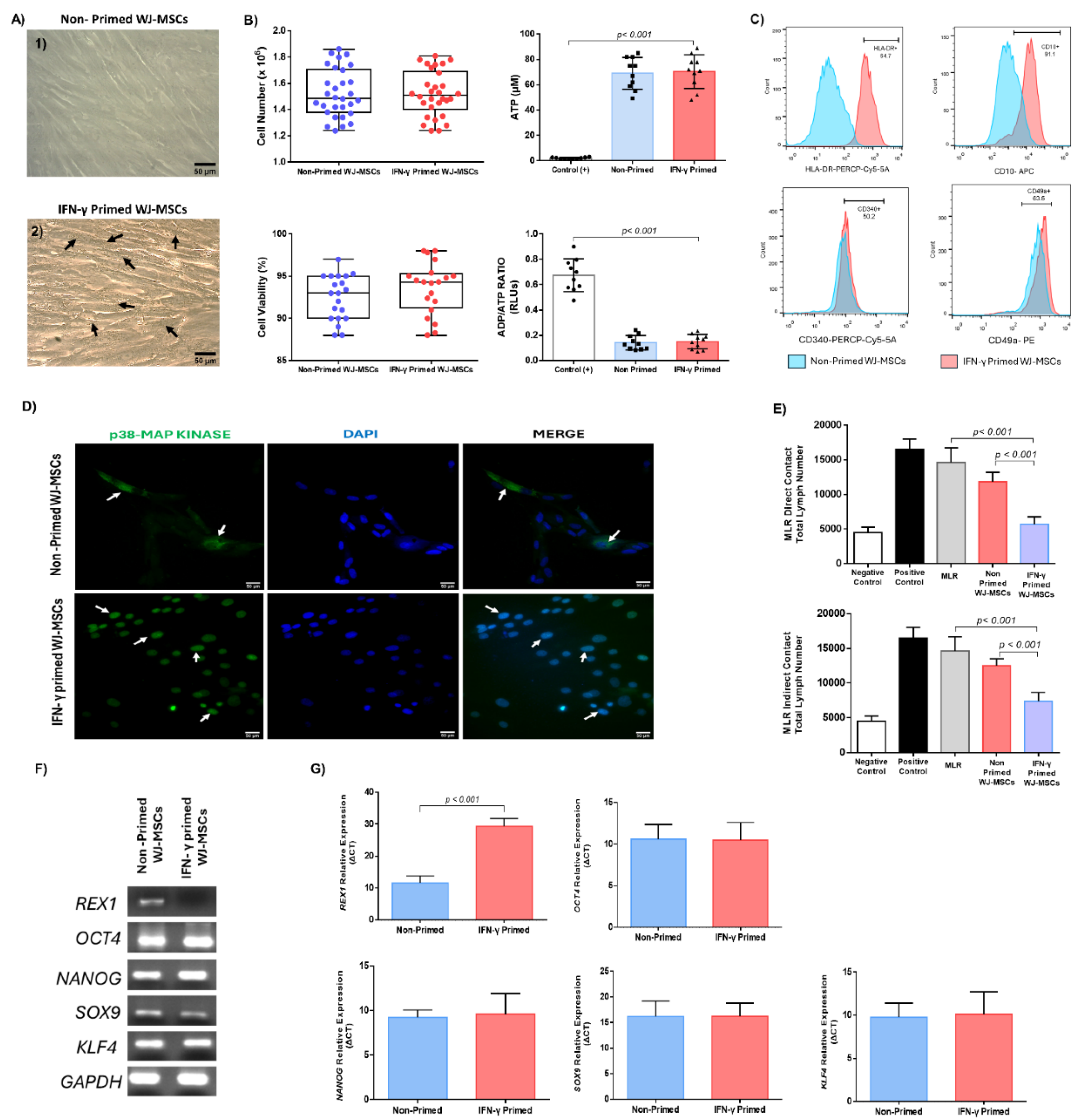 Preprints 173482 g002