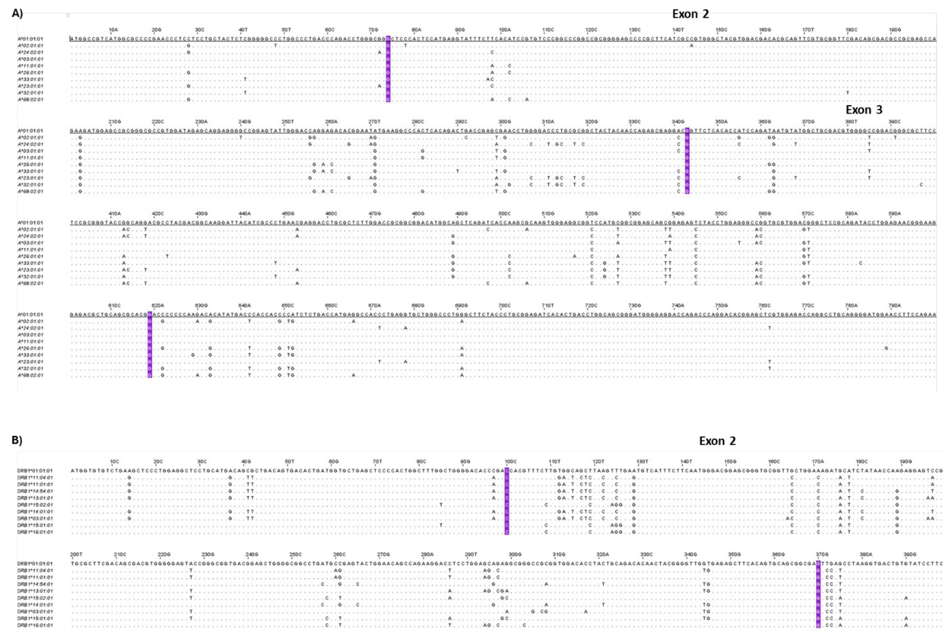 Preprints 173482 g005