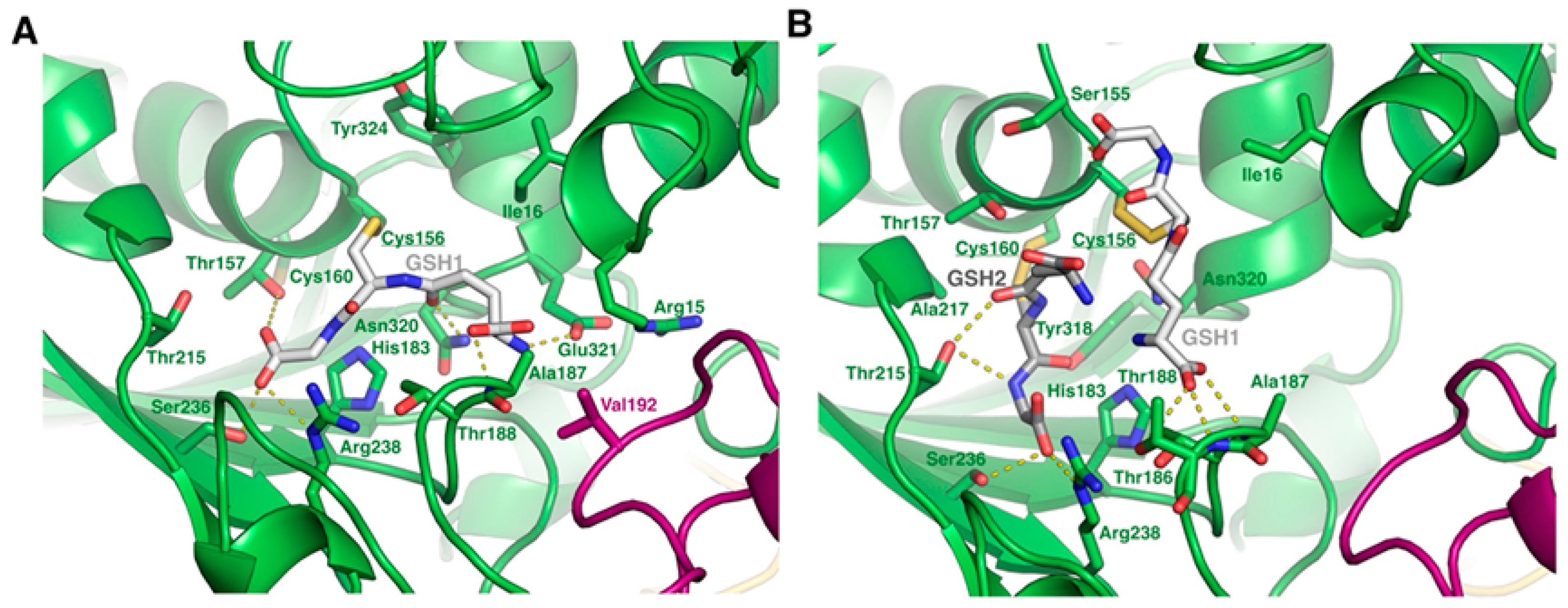 Preprints 174908 g004
