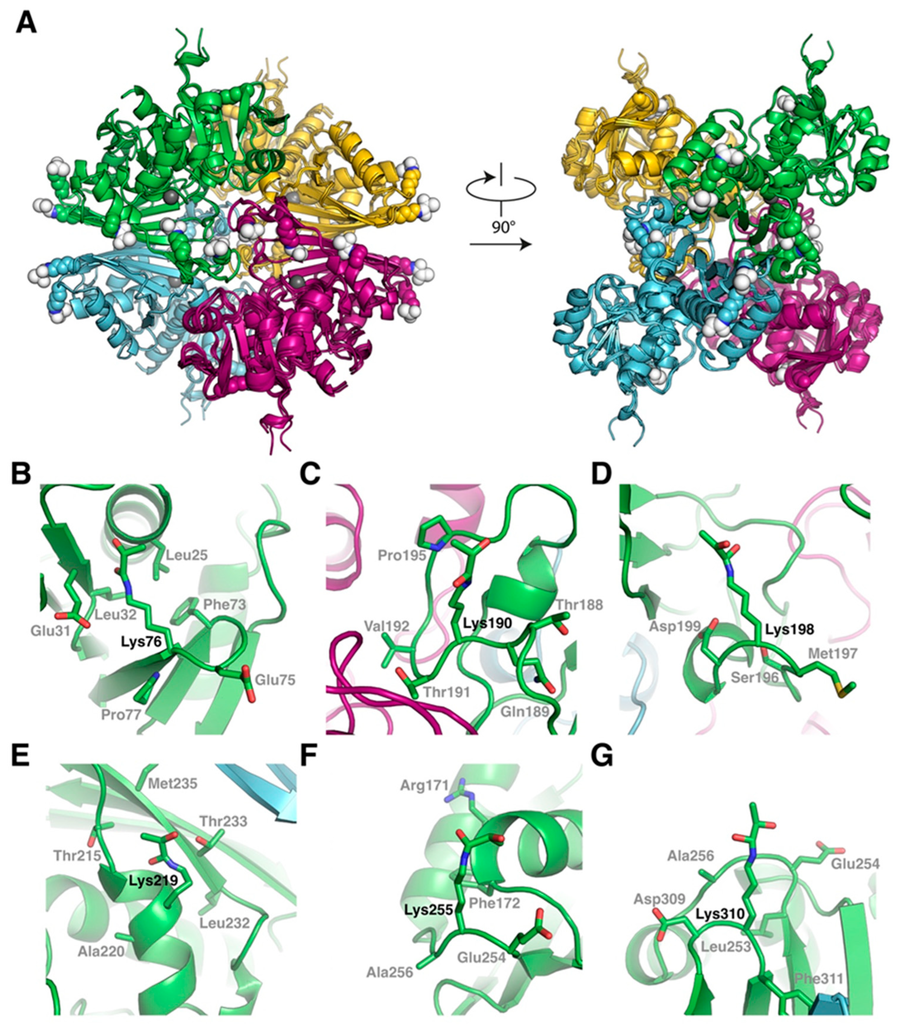 Preprints 174908 g005