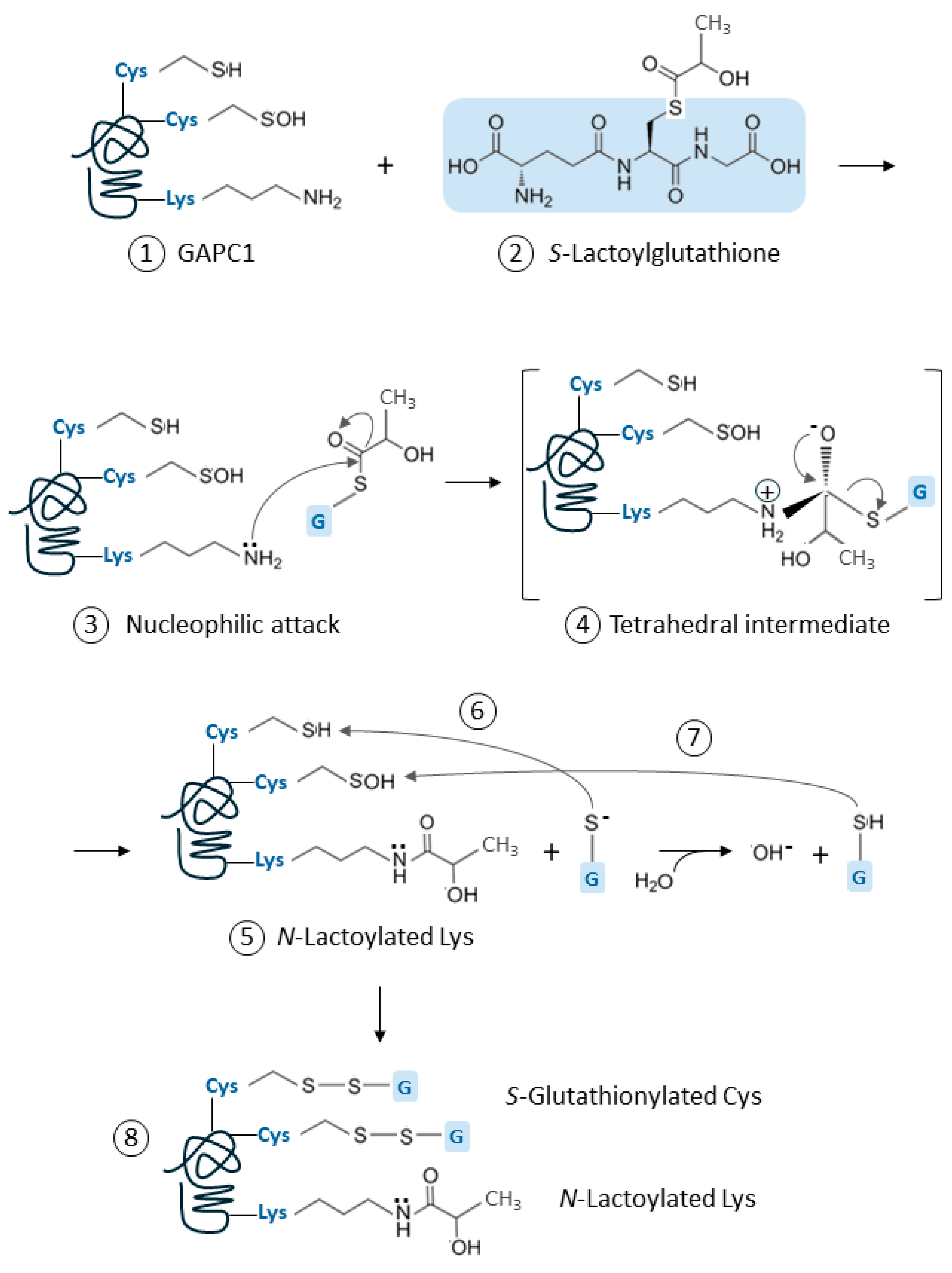 Preprints 174908 g007