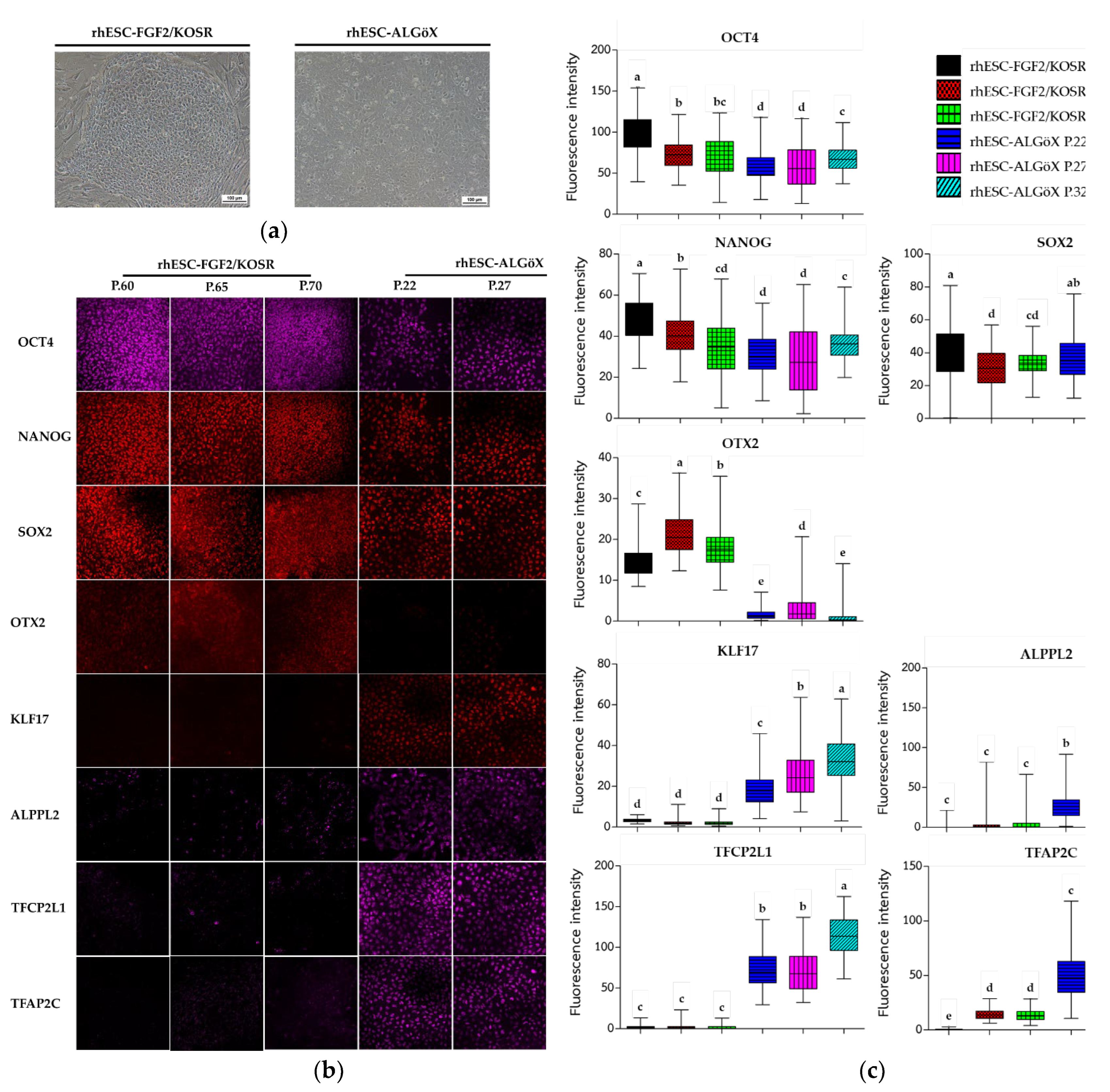 Preprints 172869 g001